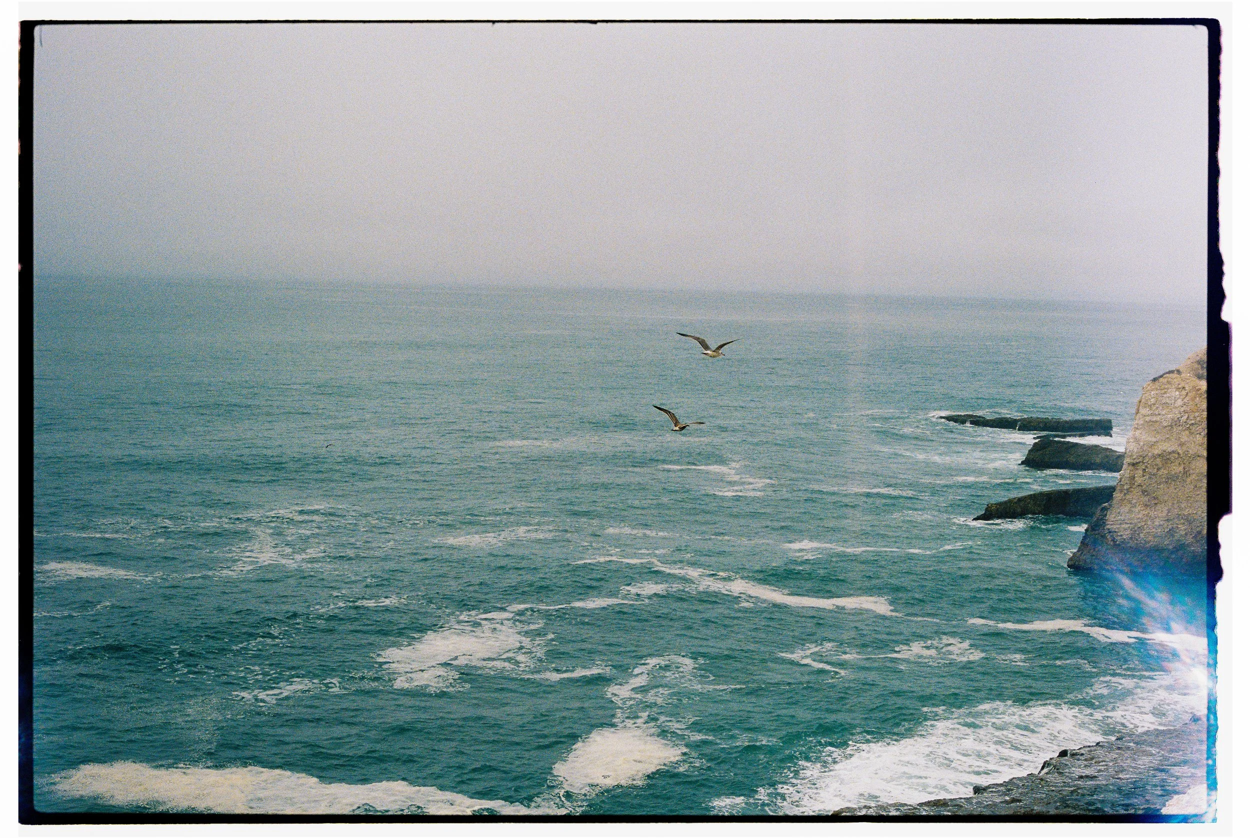 MB_6248_Portra%20800_113019-R1-043-20.jpg