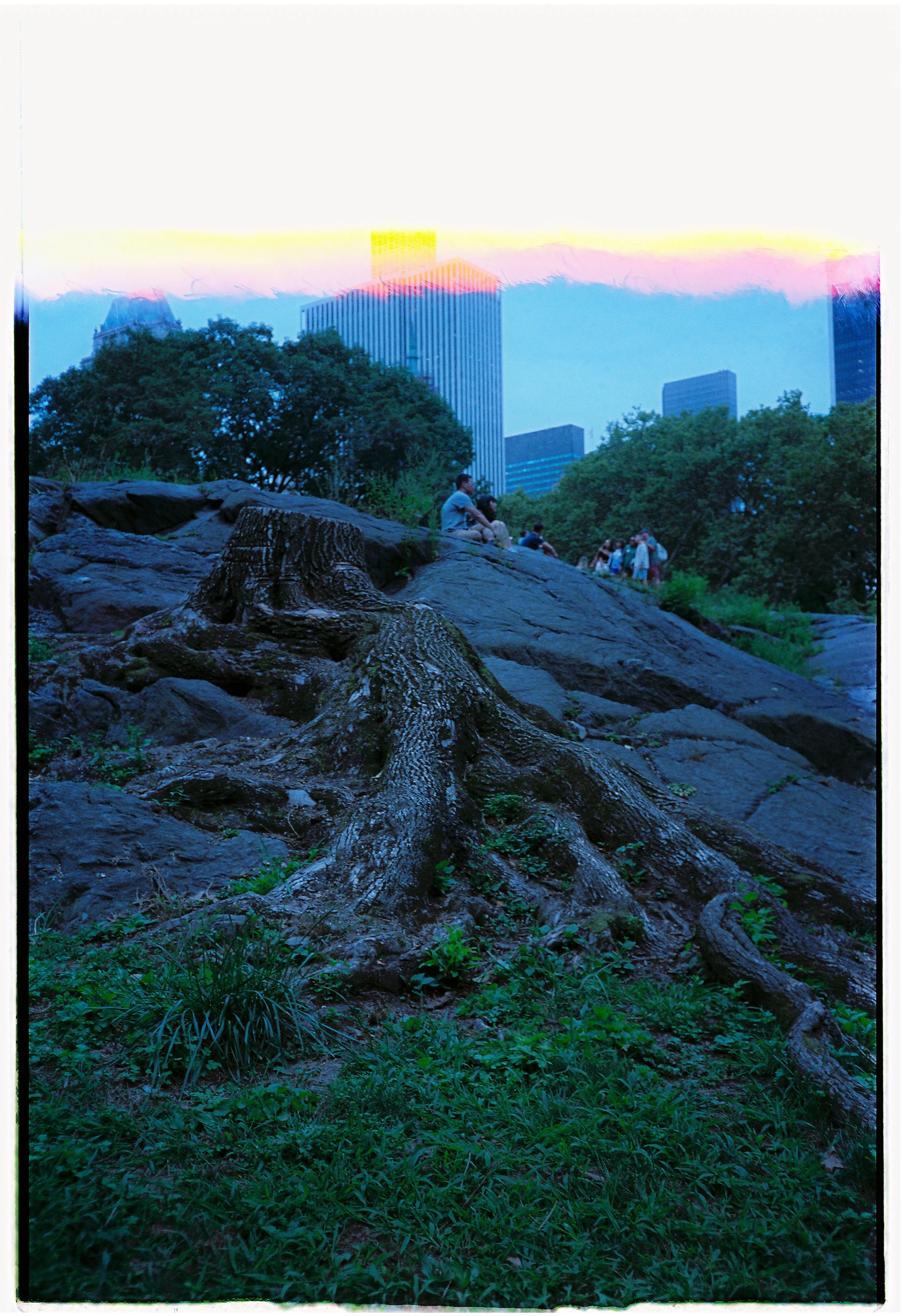 Photo Sep 01 2023, 11 14 59 AM.jpg