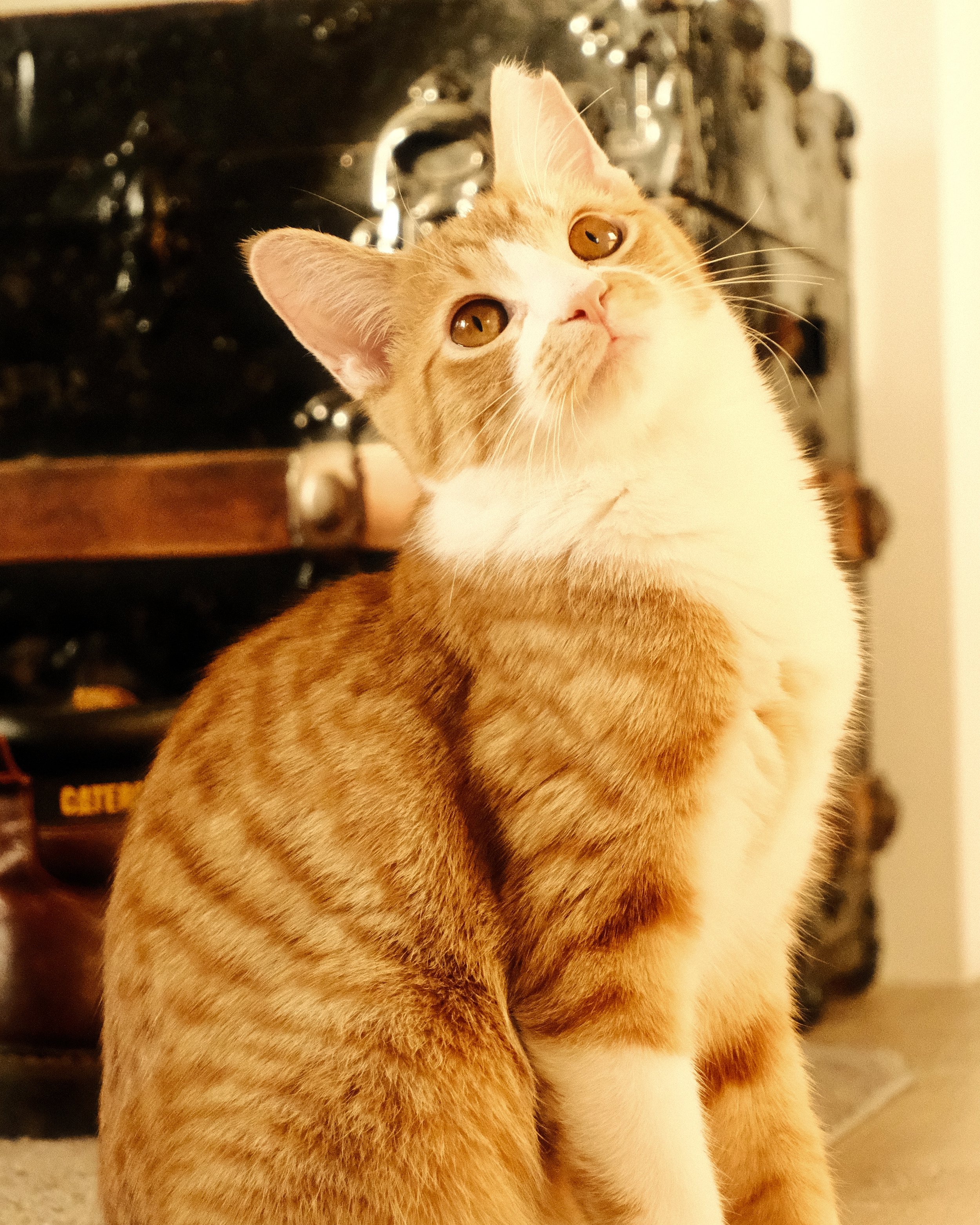 DSCF0889.jpg
