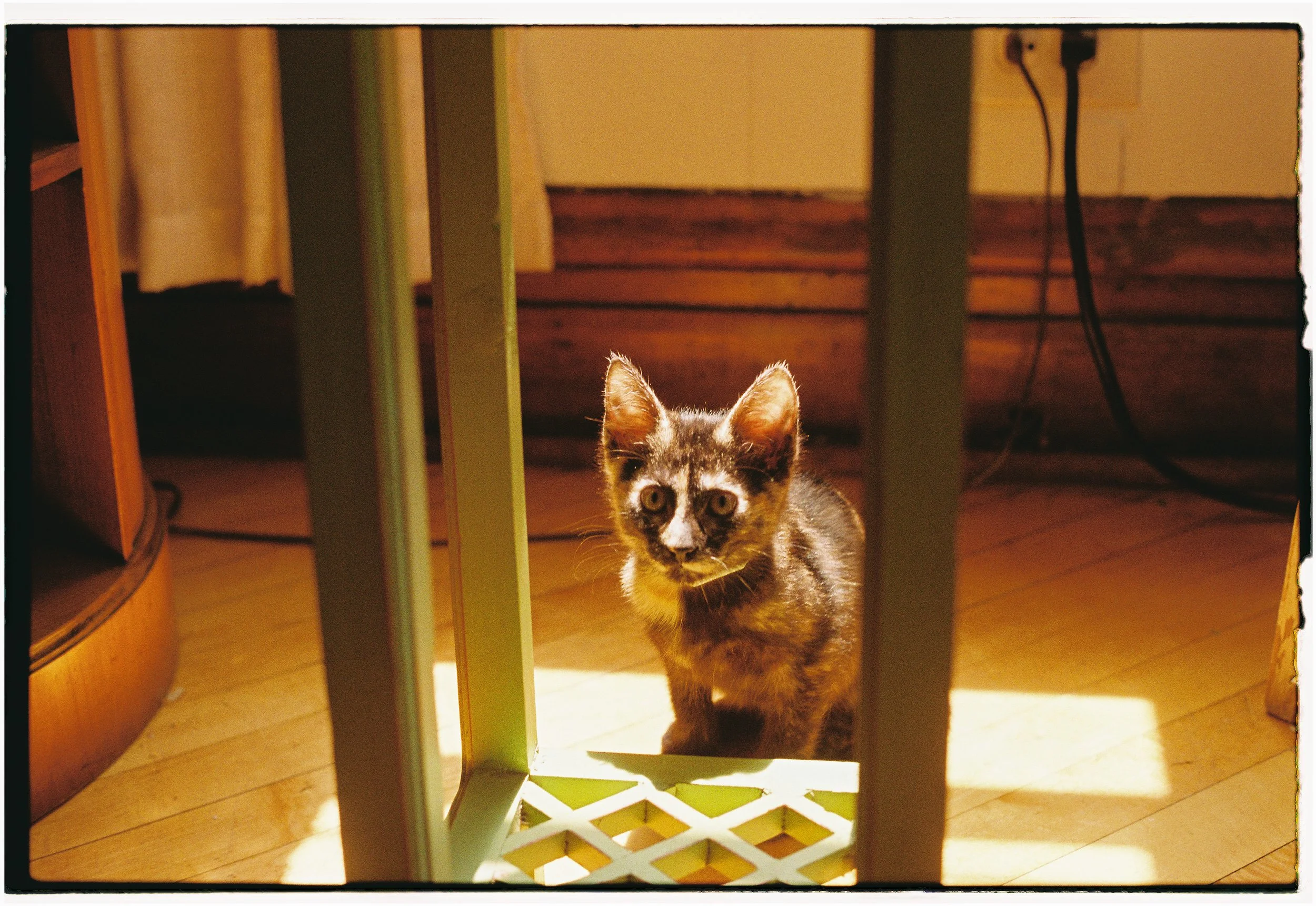 MB_1303_Fuji 201.JPG