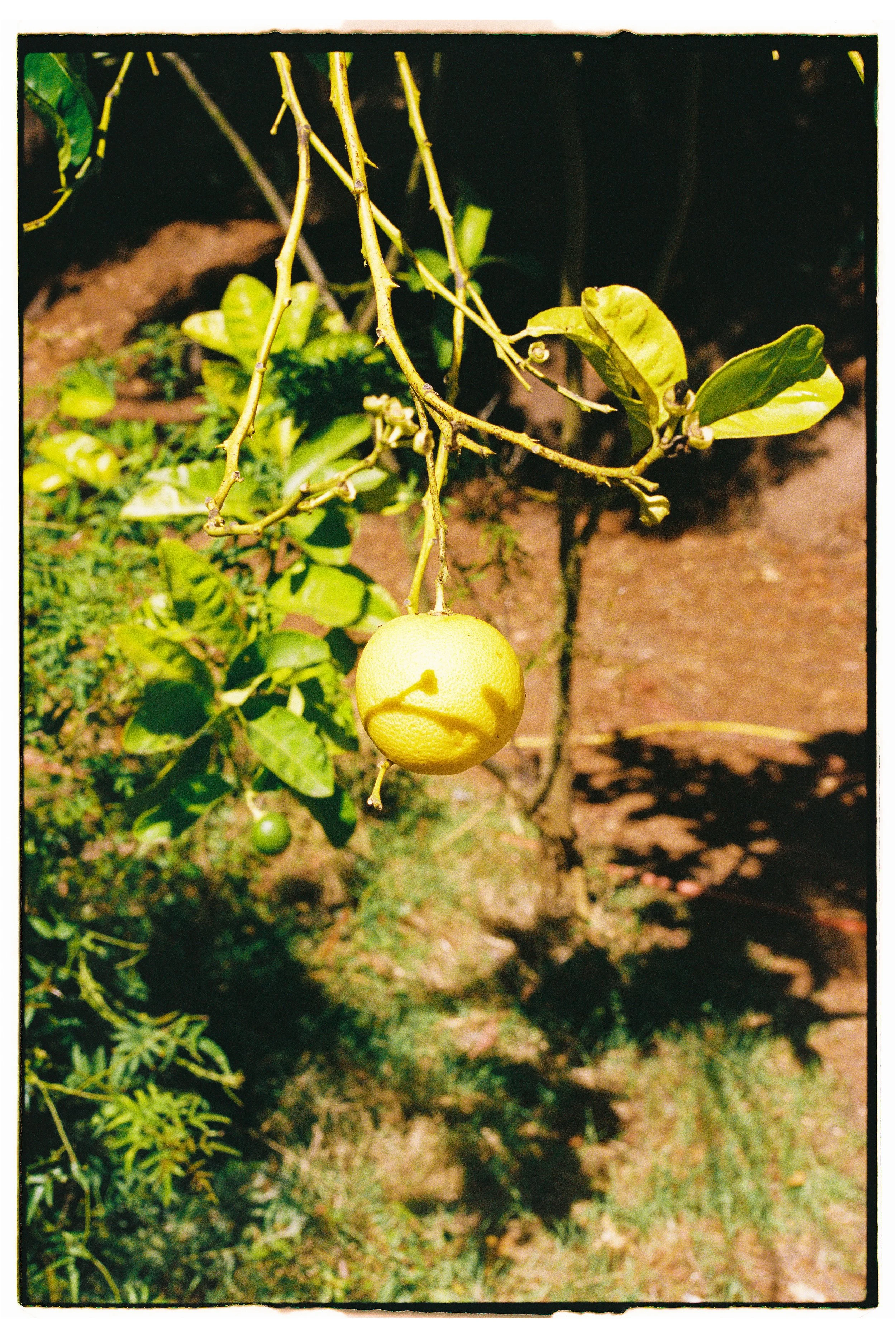 MB_6249_Portra%20400_023016-R1-042-19A.jpg