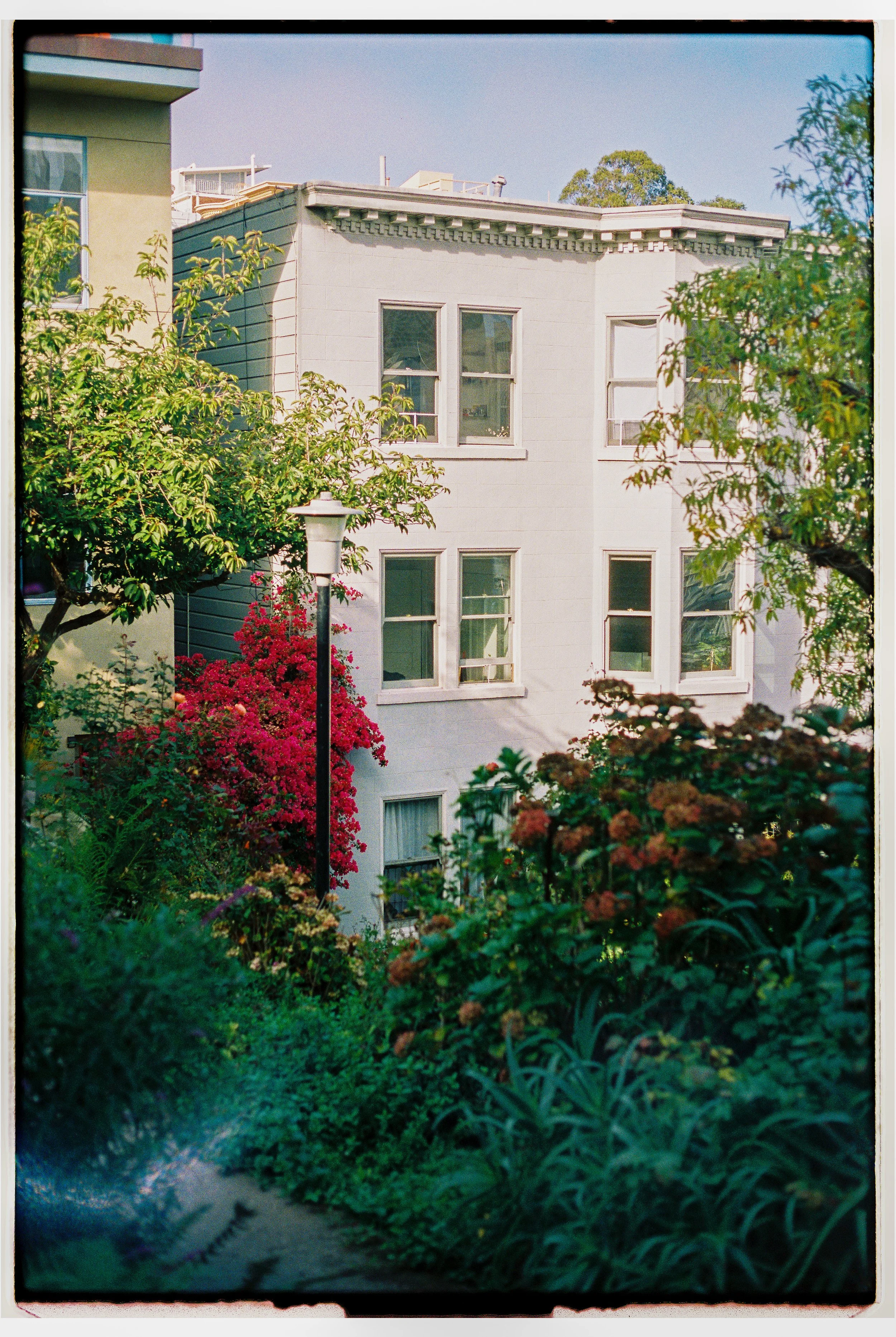 MB_6248_Portra%20800_113019-R1-069-33.jpg