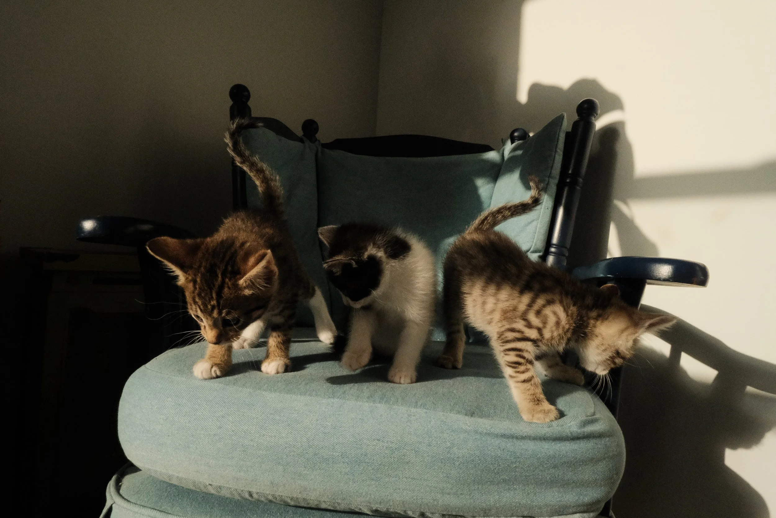 DSCF7097.JPG