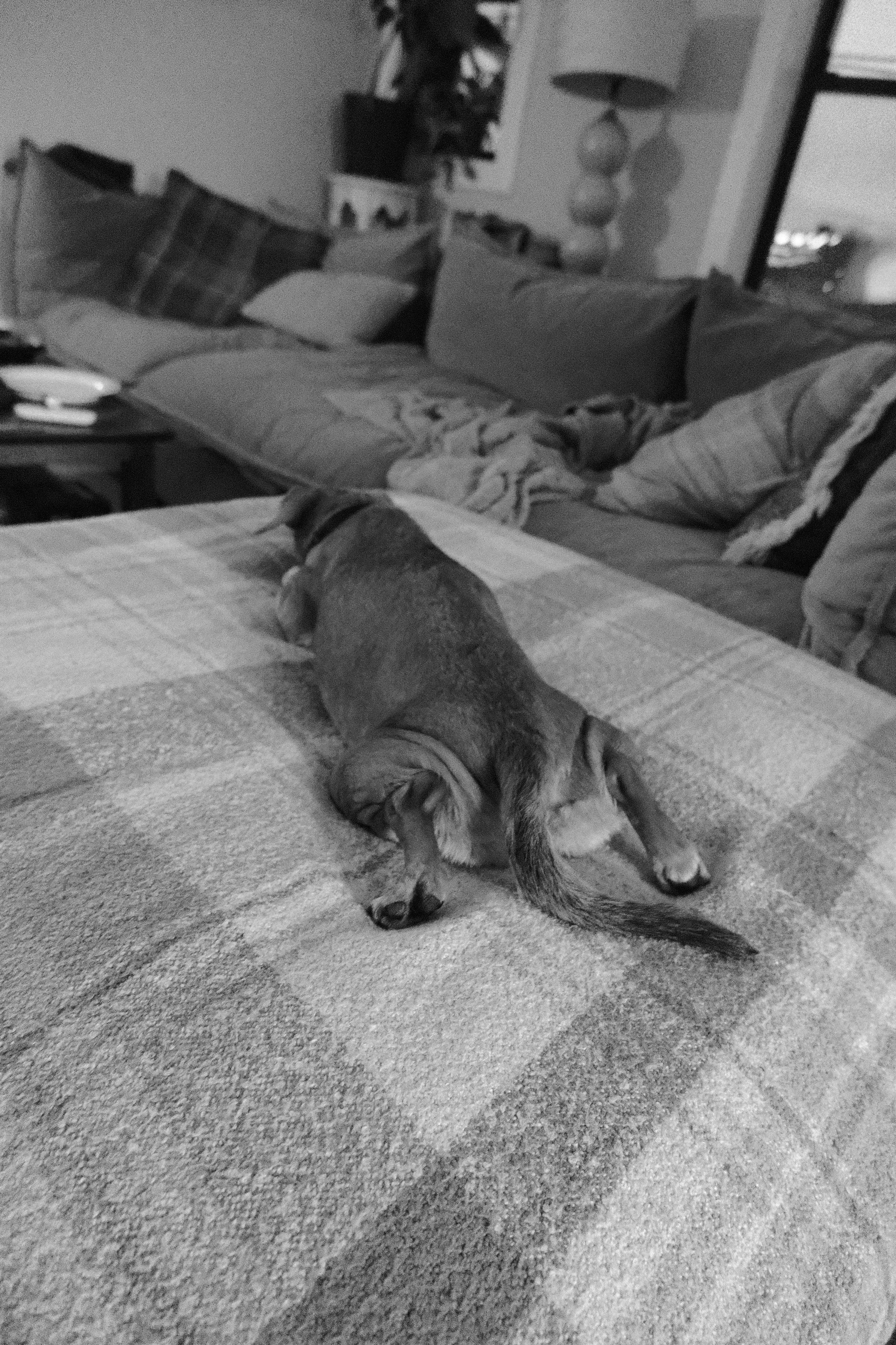 DSCF0189.JPG
