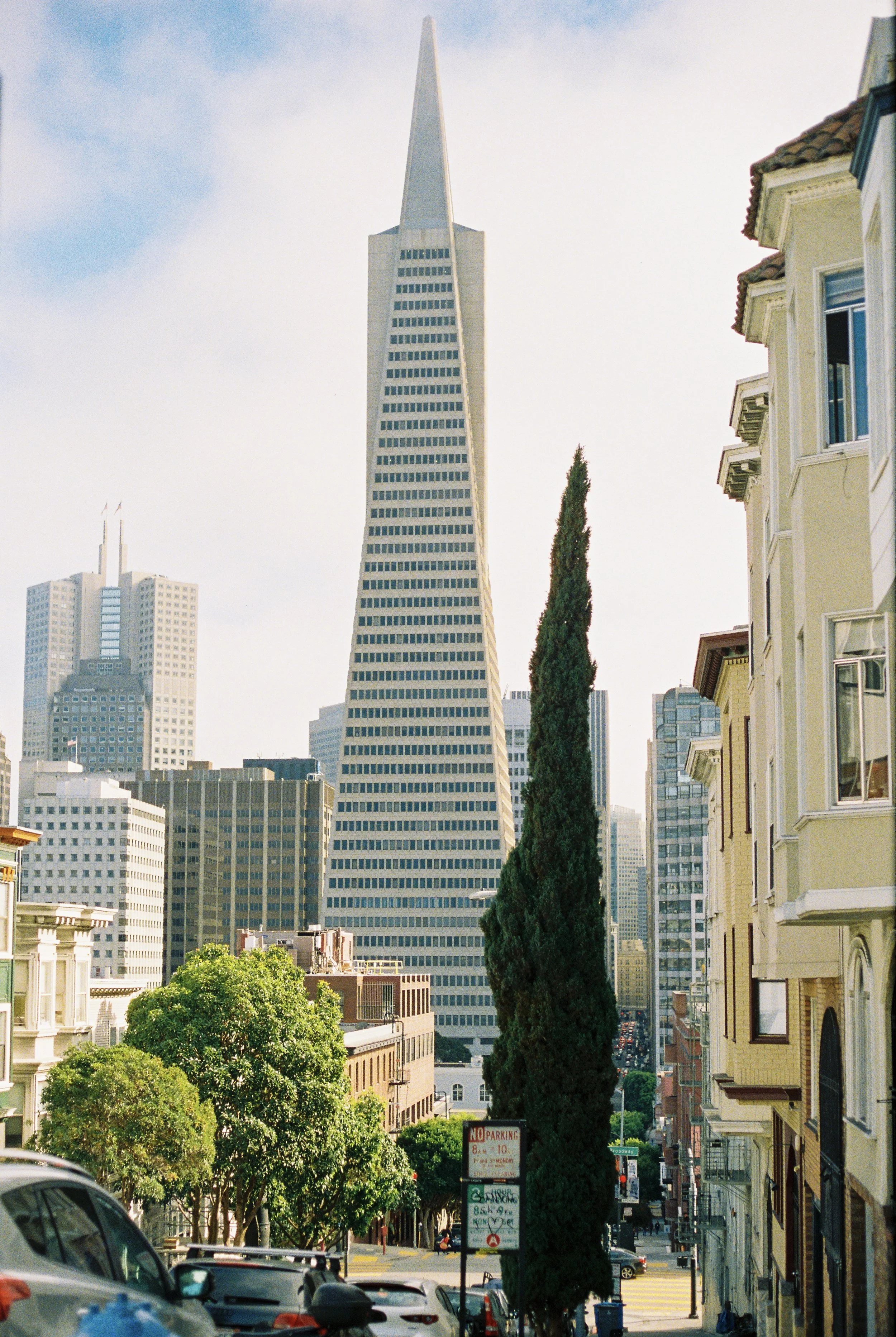 The skyline of San Francisco, featuring the Transamerica Pyramid, with surrounding buildings, trees, and a street in the foreground.