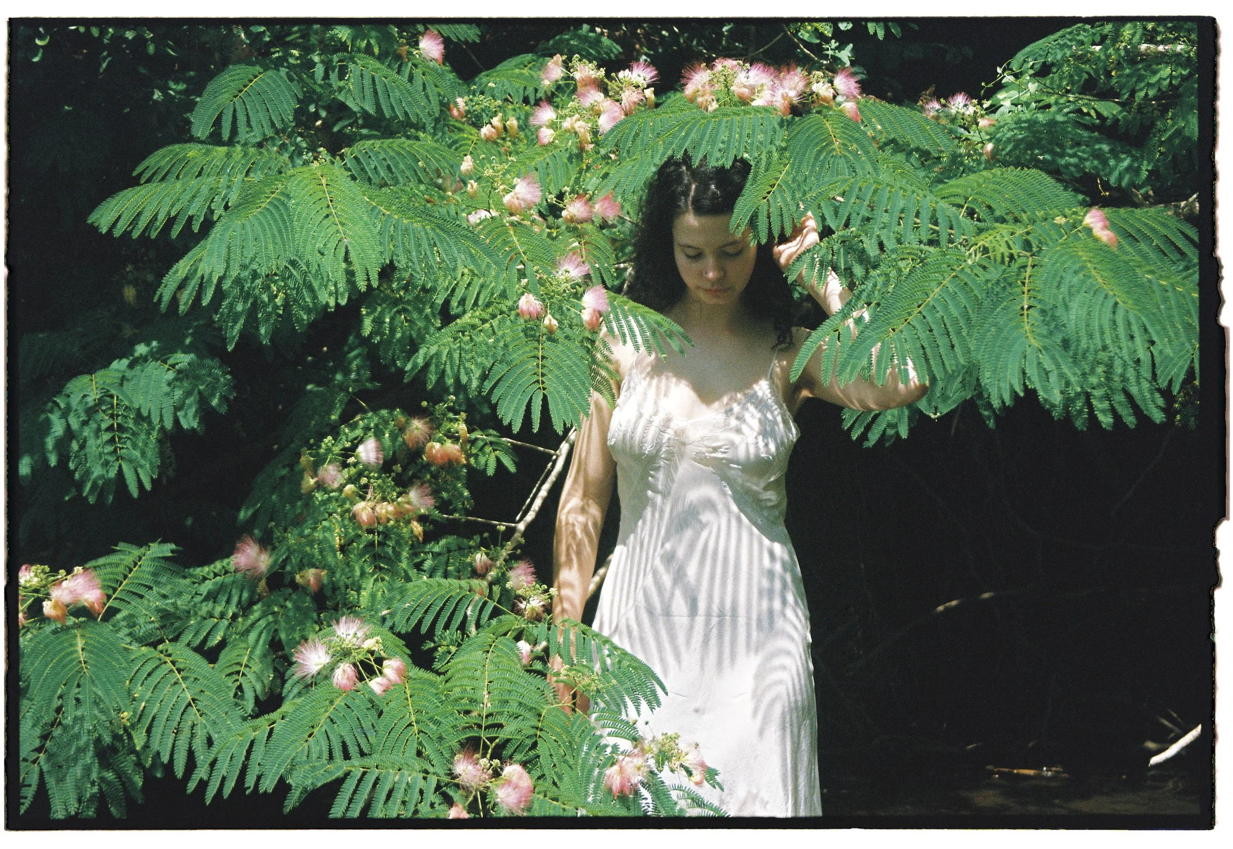 A young woman with dark curly hair in a white dress standing among lush green fern leaves and pink fluffy flowers, with shadows and light creating striped patterns on her dress.
