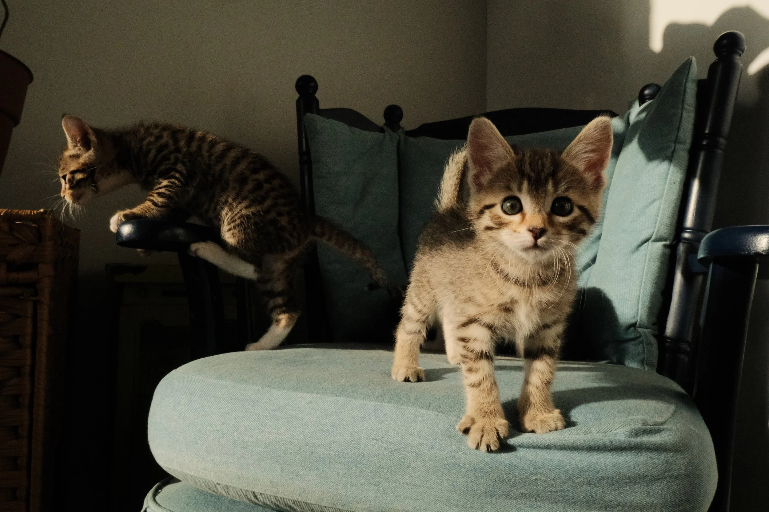 DSCF7106.JPG