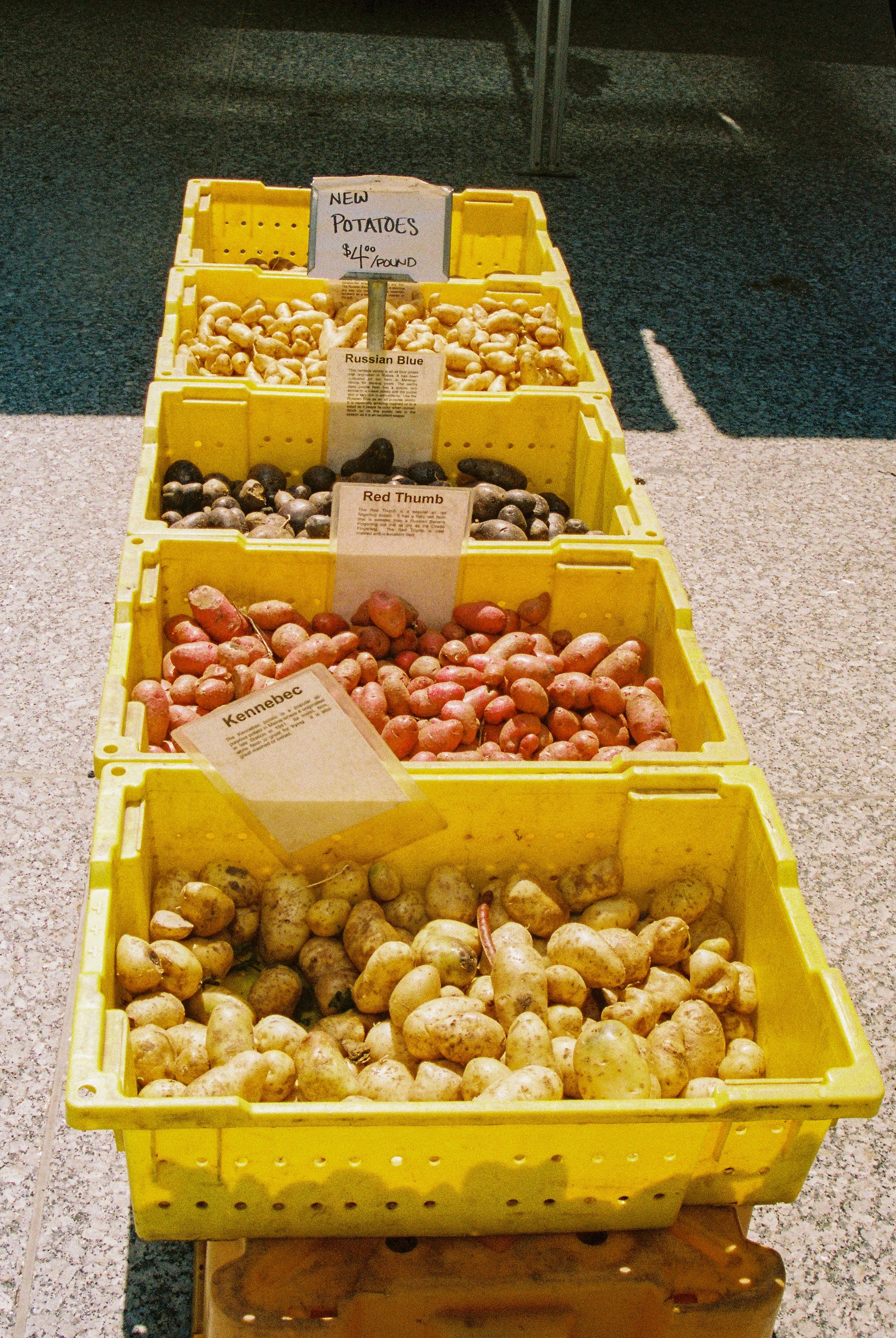 Yellow crates filled with different types of potatoes at an outdoor market.