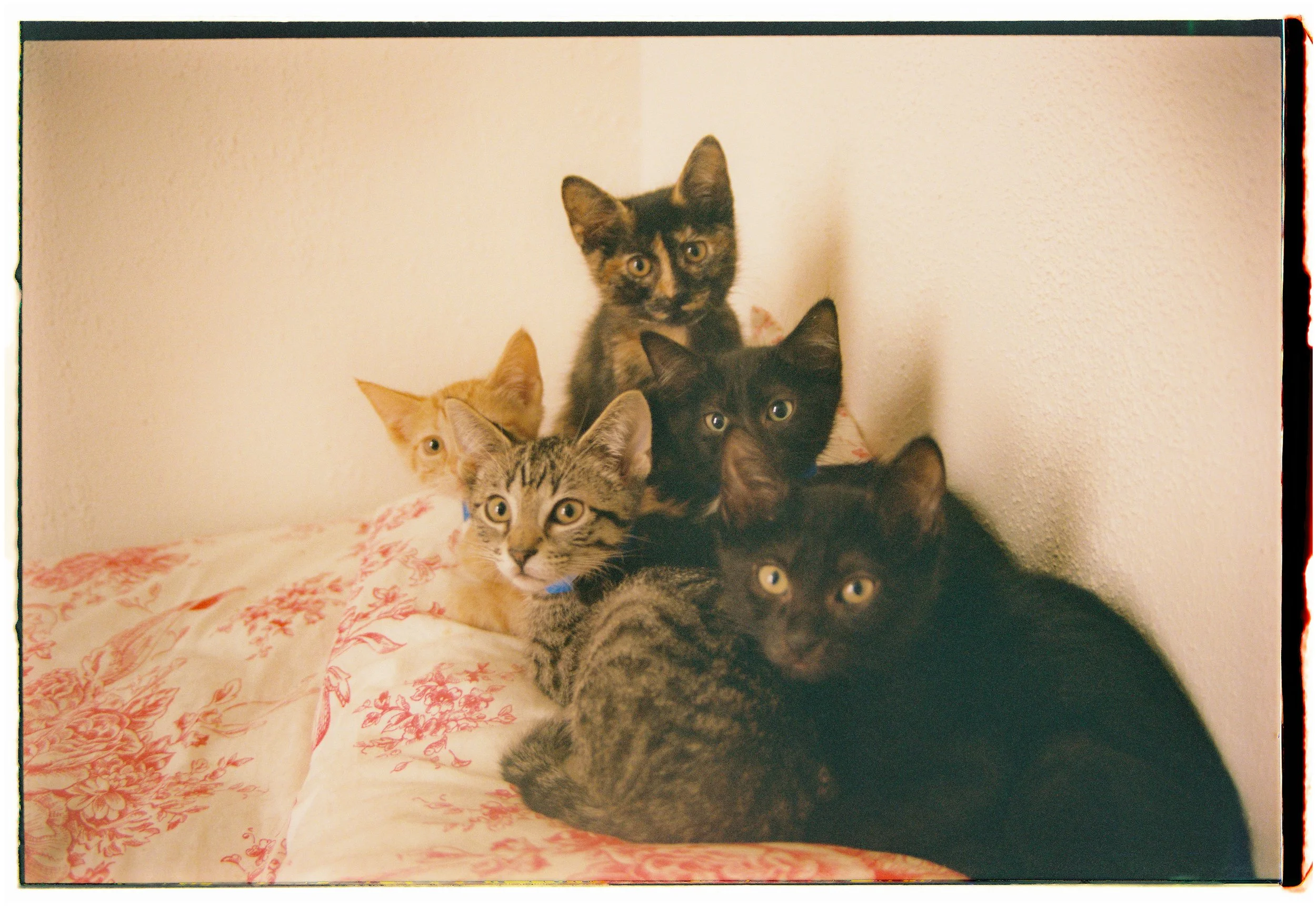 MB_1303_Portra 400_029246-R1-078-37A.JPG