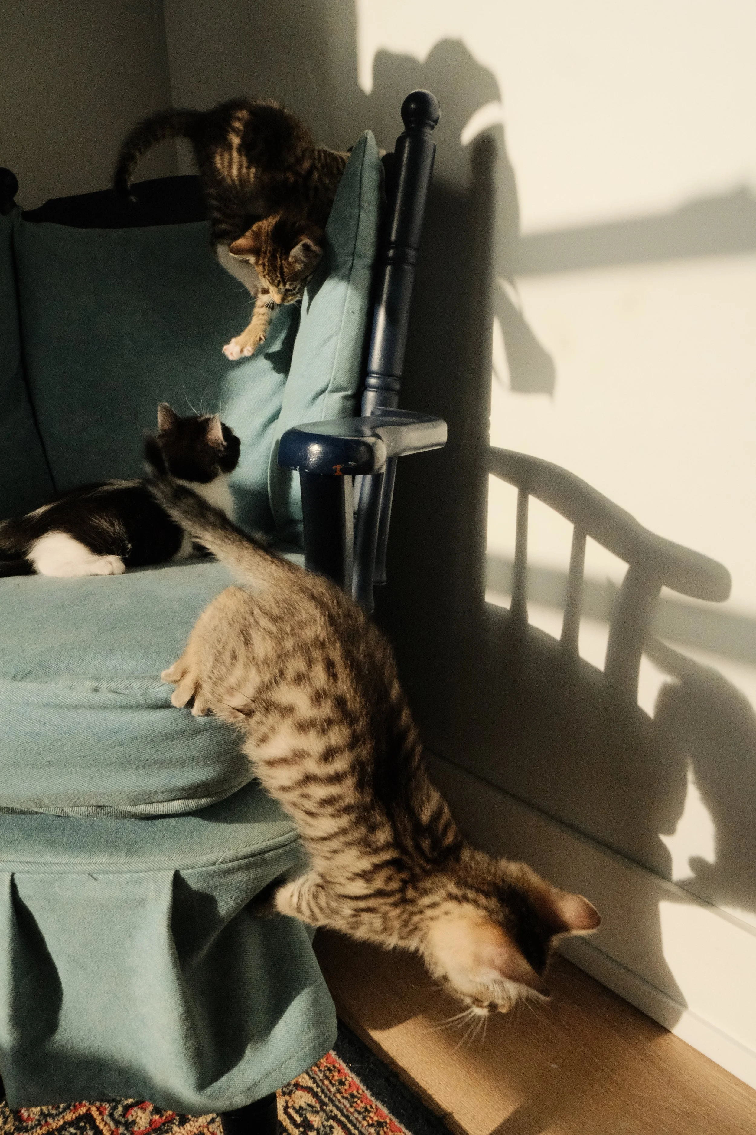DSCF7102.JPG