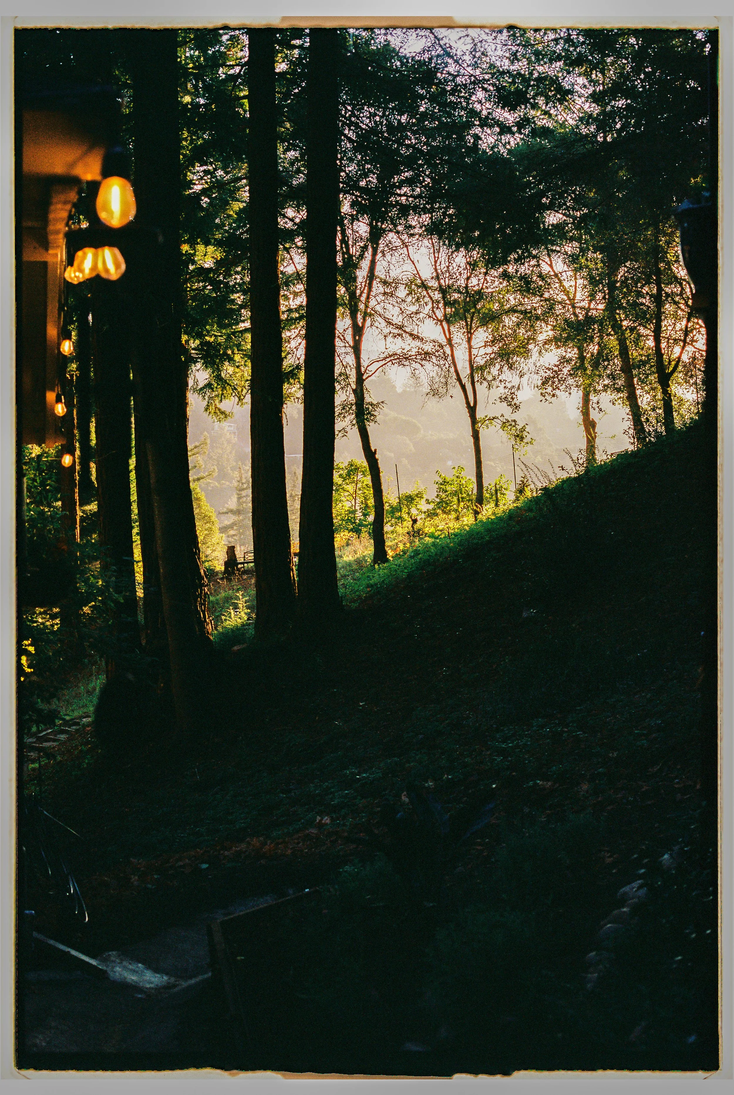 MB_6249_Portra%20400_023016-R1-024-10A.jpg