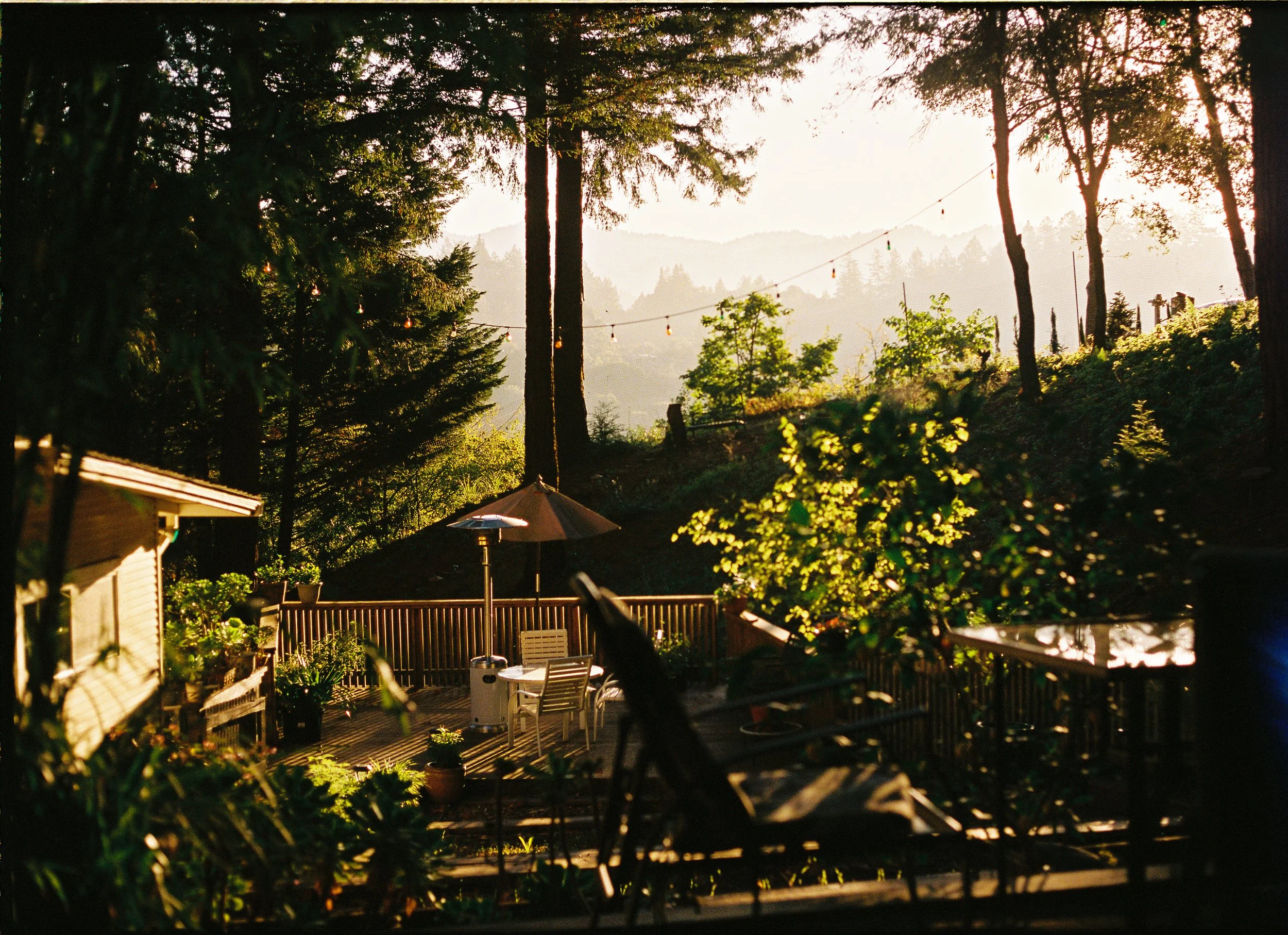 MB_6249_Portra%20400_023016-R1-026-11A.jpg