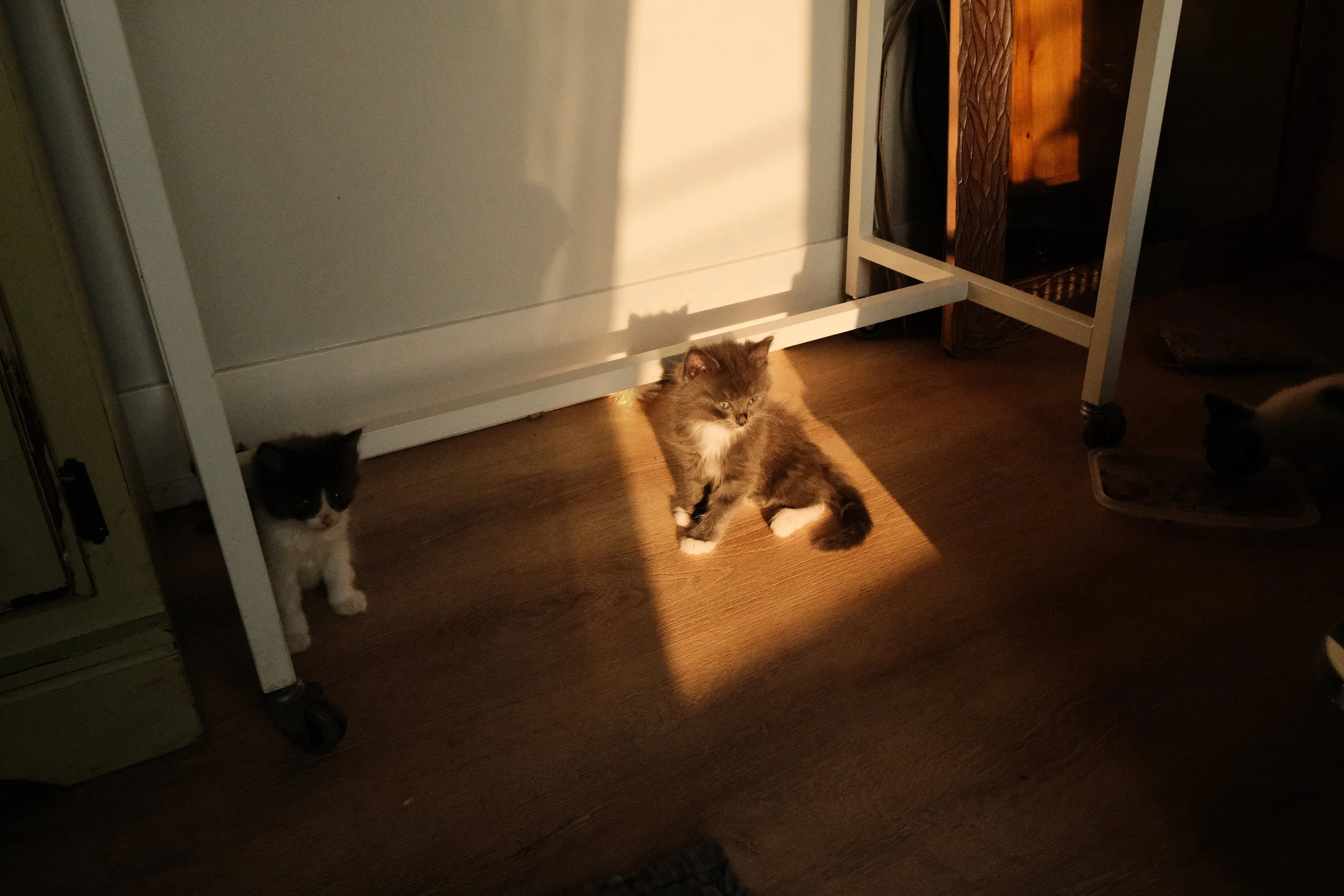 DSCF7893.JPG