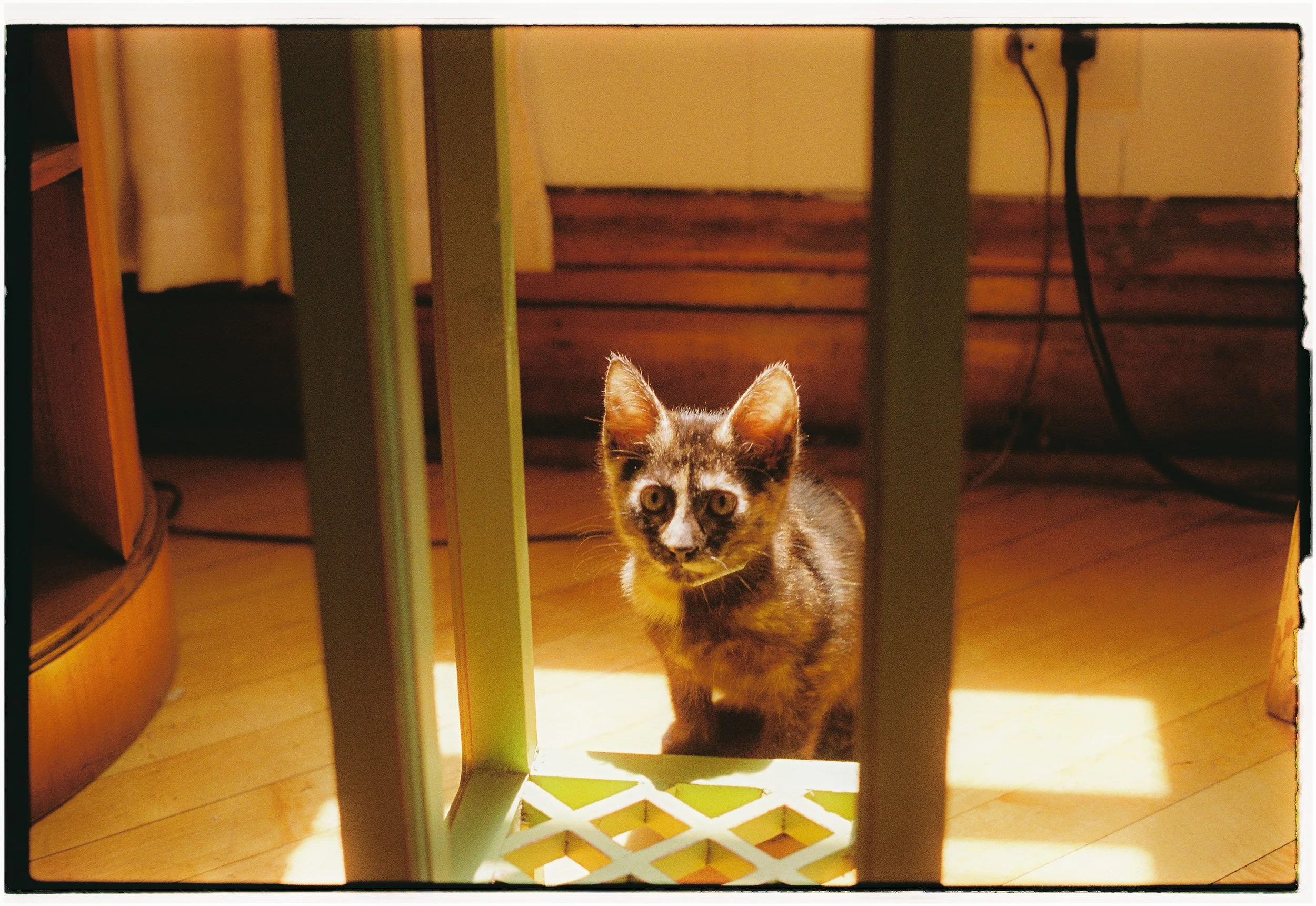 MB_1303_Fuji 200_115610-R1-017-7.JPG