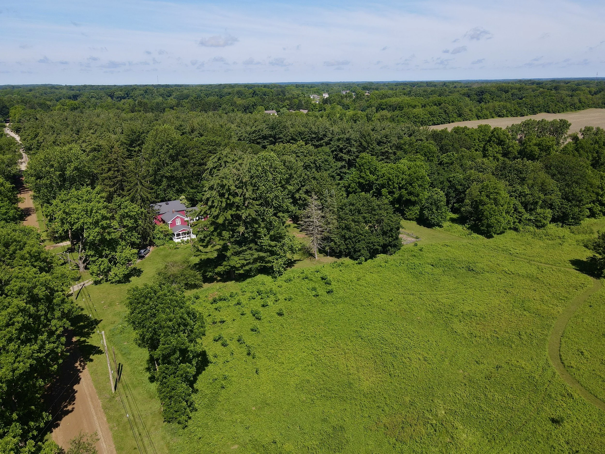 dji_fly_20260611_111226_38_1781190818799_photo.jpg