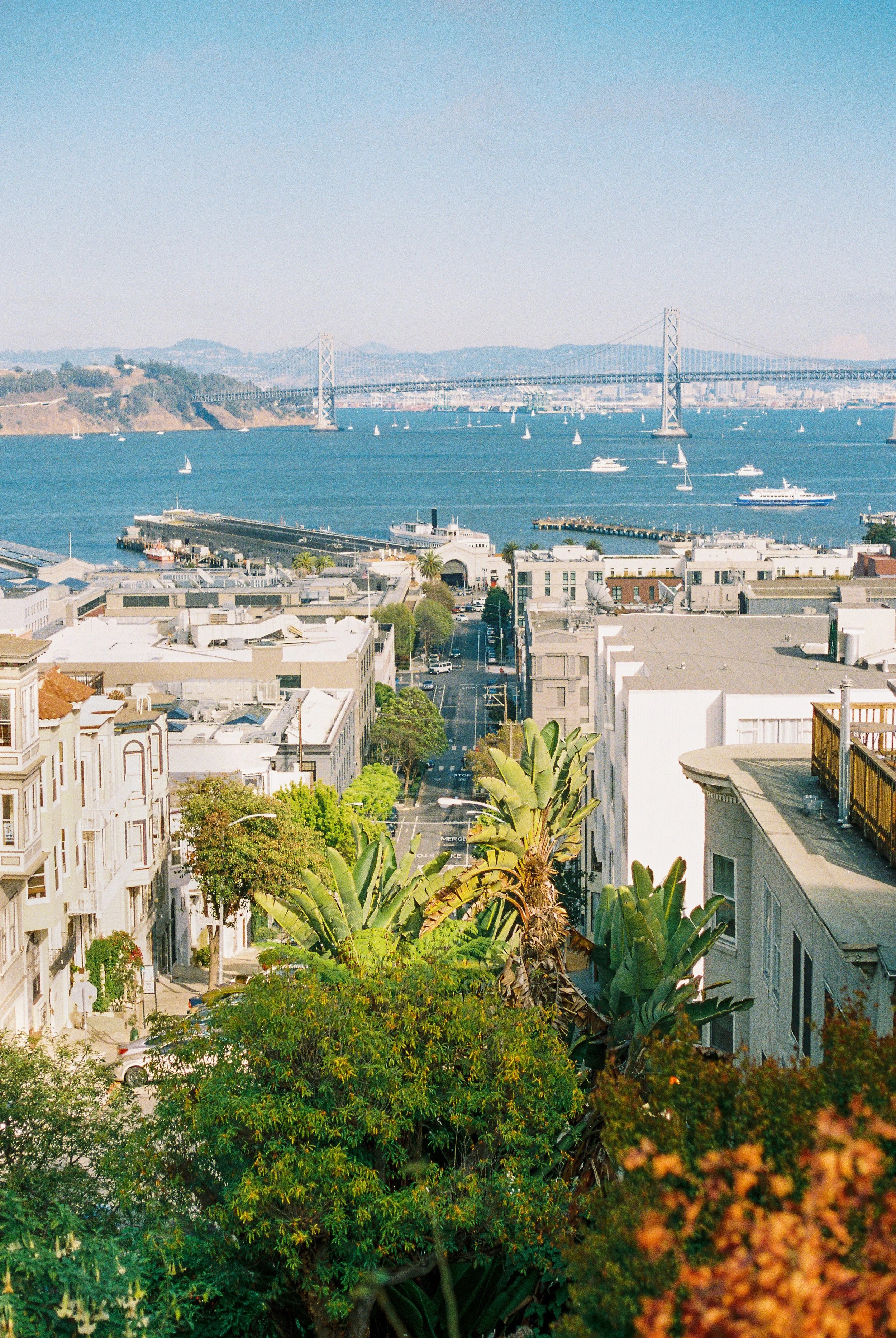 A view of a city street with buildings and greenery, overlooking a bay with sailboats and a bridge in the background.
