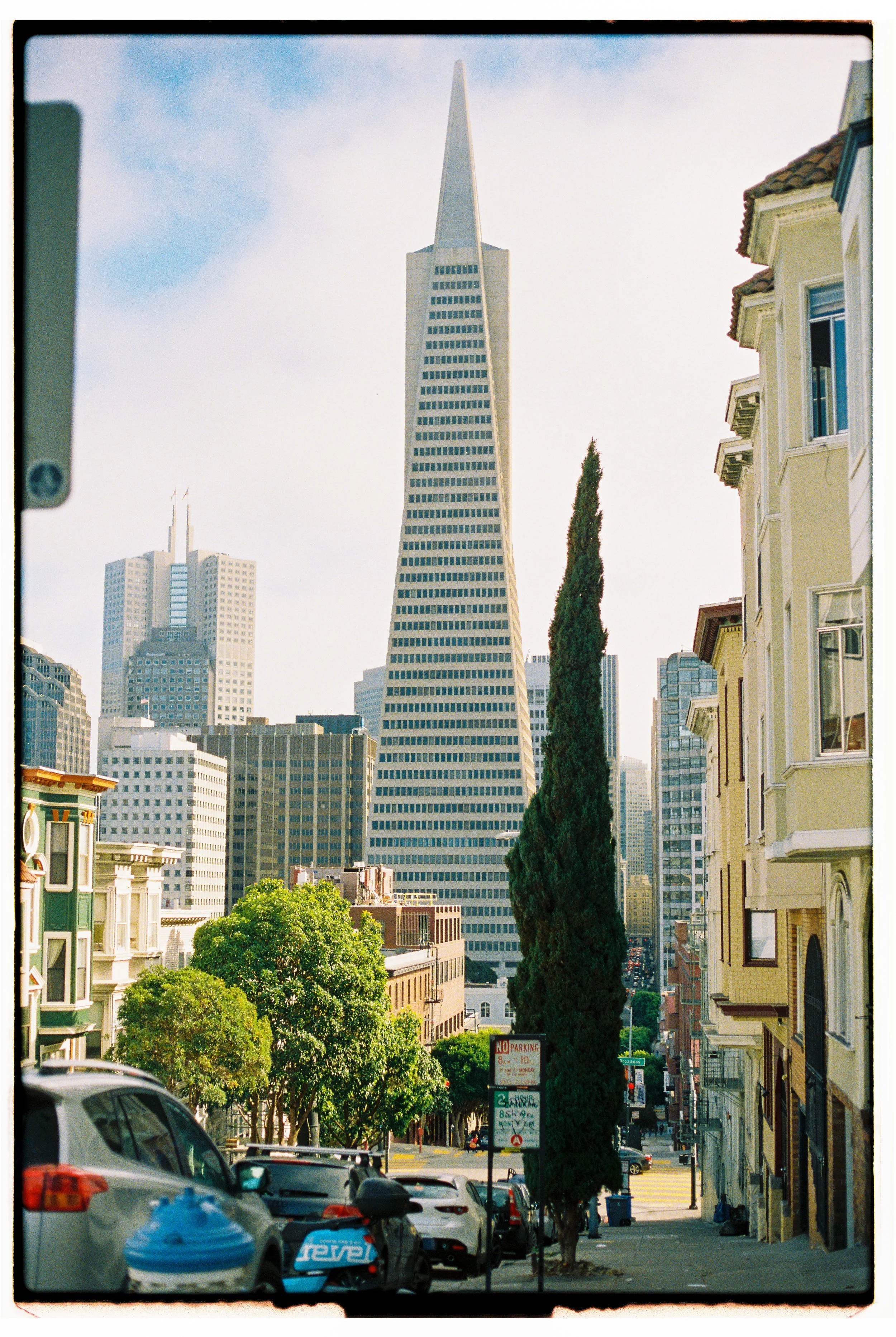 A city street with parked cars and trees, leading towards the Transamerica Pyramid skyscraper in San Francisco, with other tall buildings in the background.
