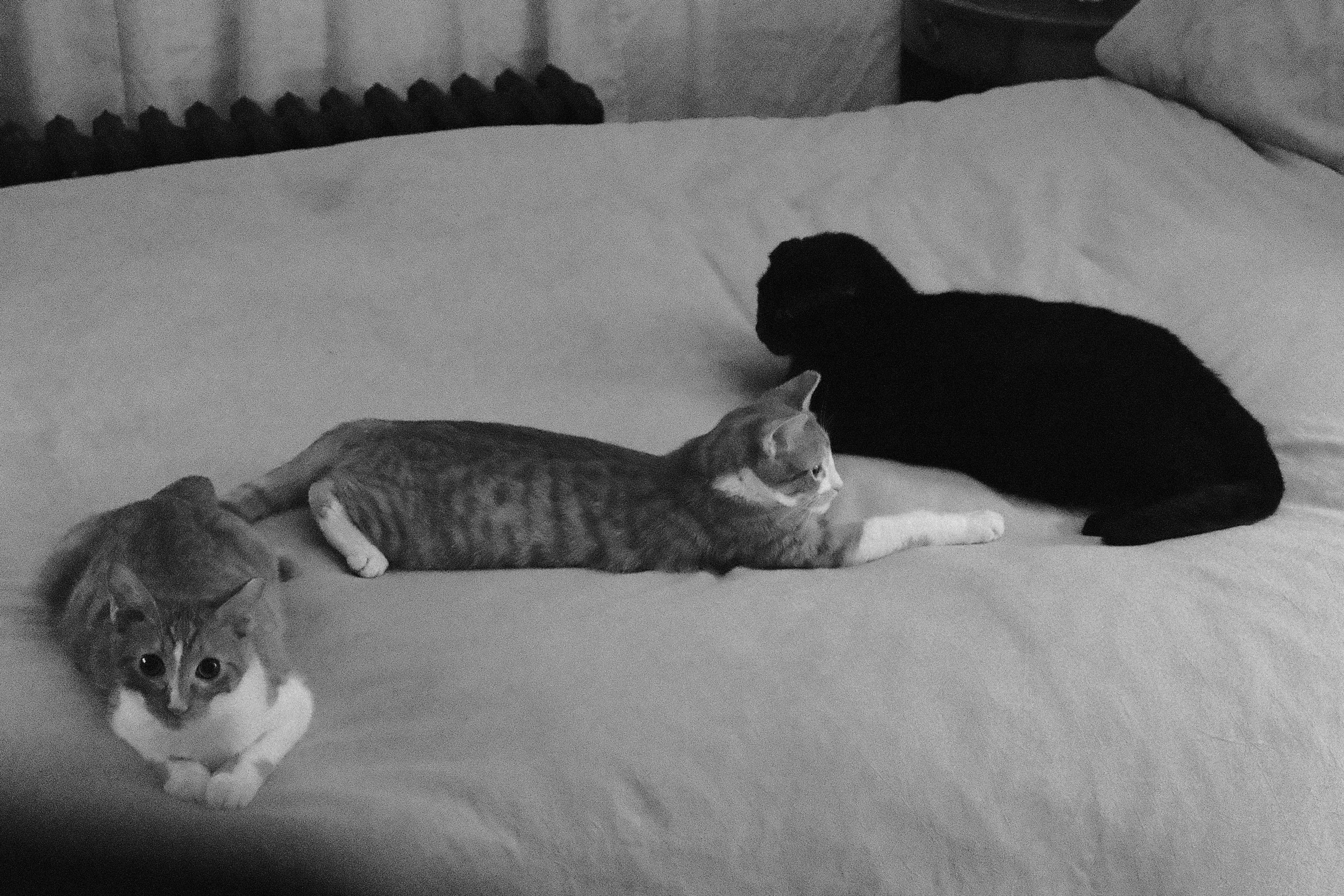 DSCF0914.jpg