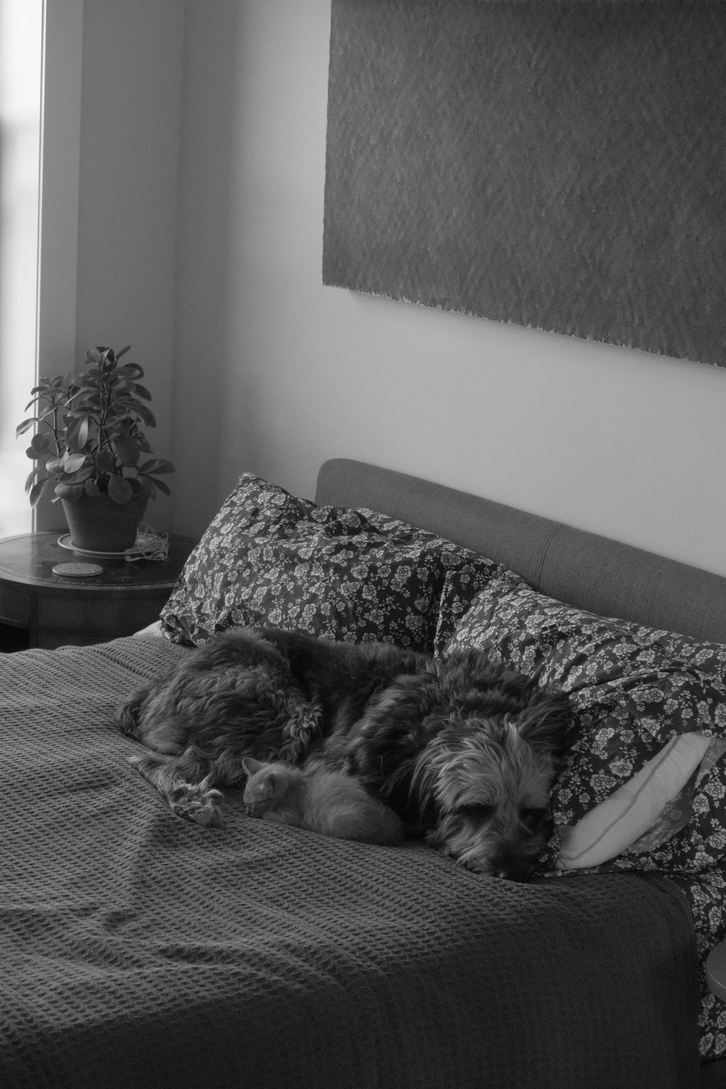DSCF4941.JPG