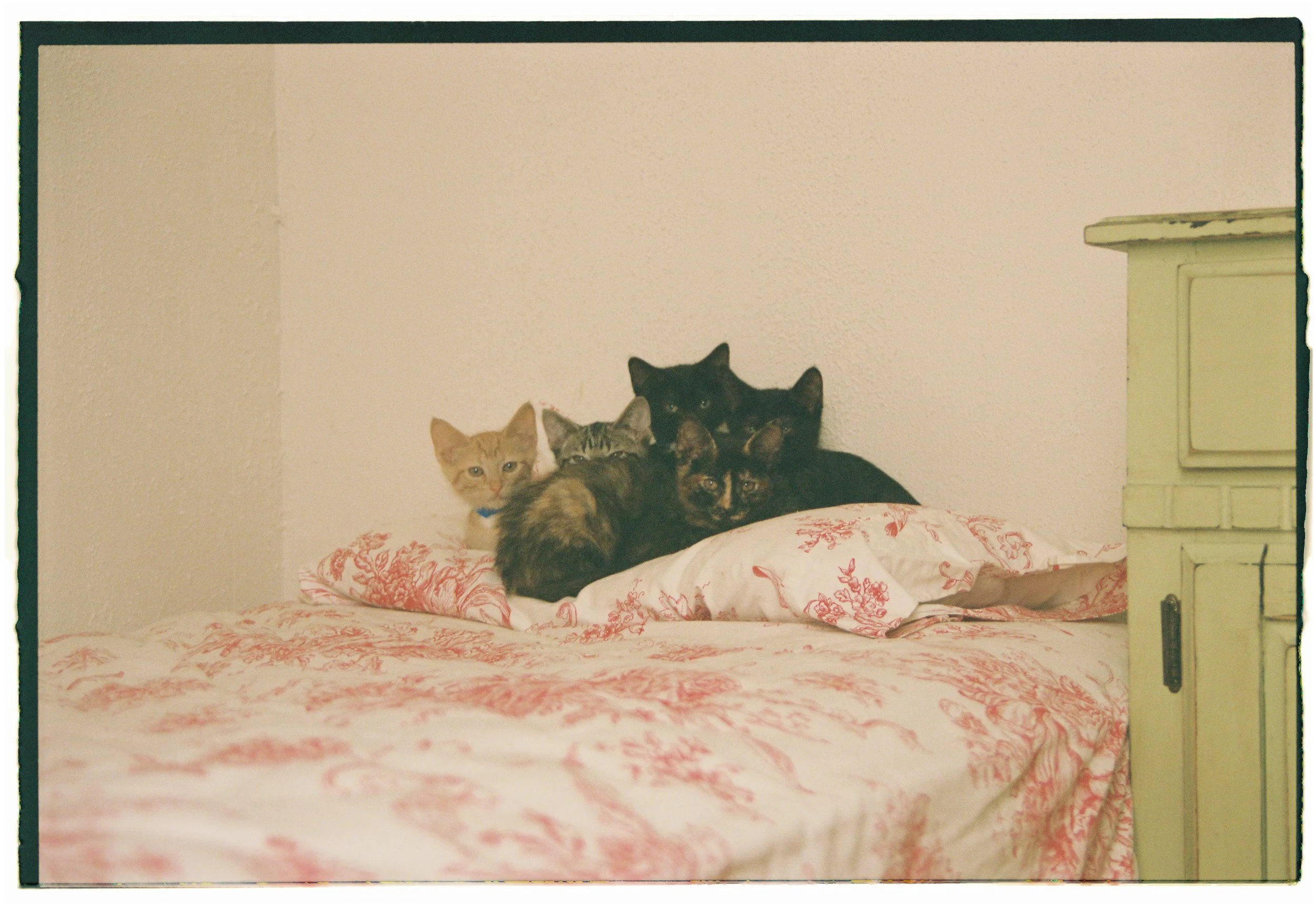 MB_1303_Portra 400_029246-R1-068-32A.JPG