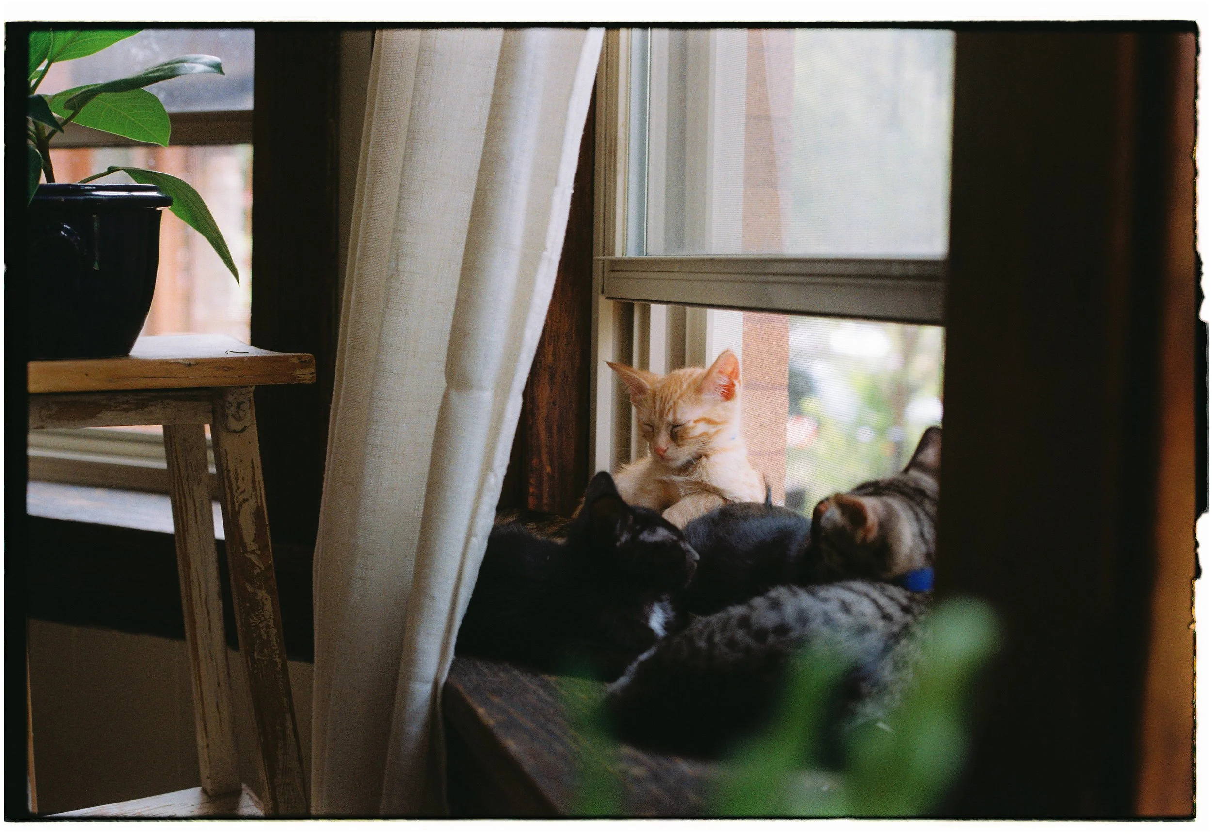 MB_1303_Fuji 200_115610-R1-025-11.JPG