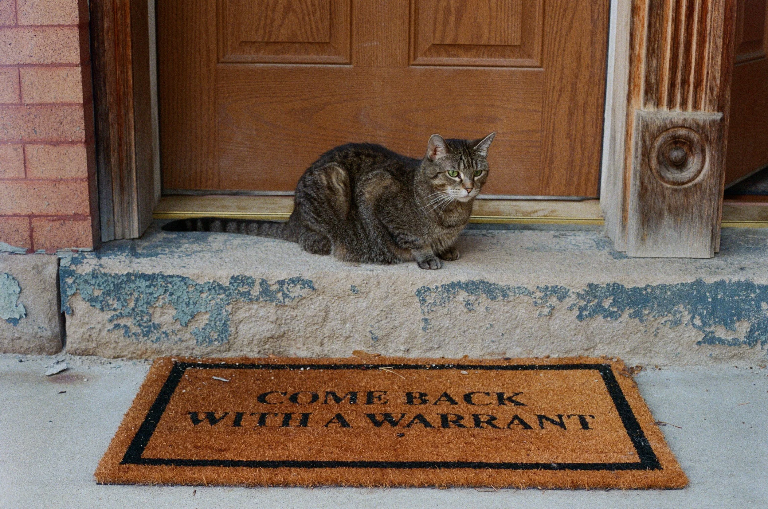 A tabby cat sitting on a door stoop in front of a wooden door, with a welcome mat that reads 'Come Back With a Warrant'.