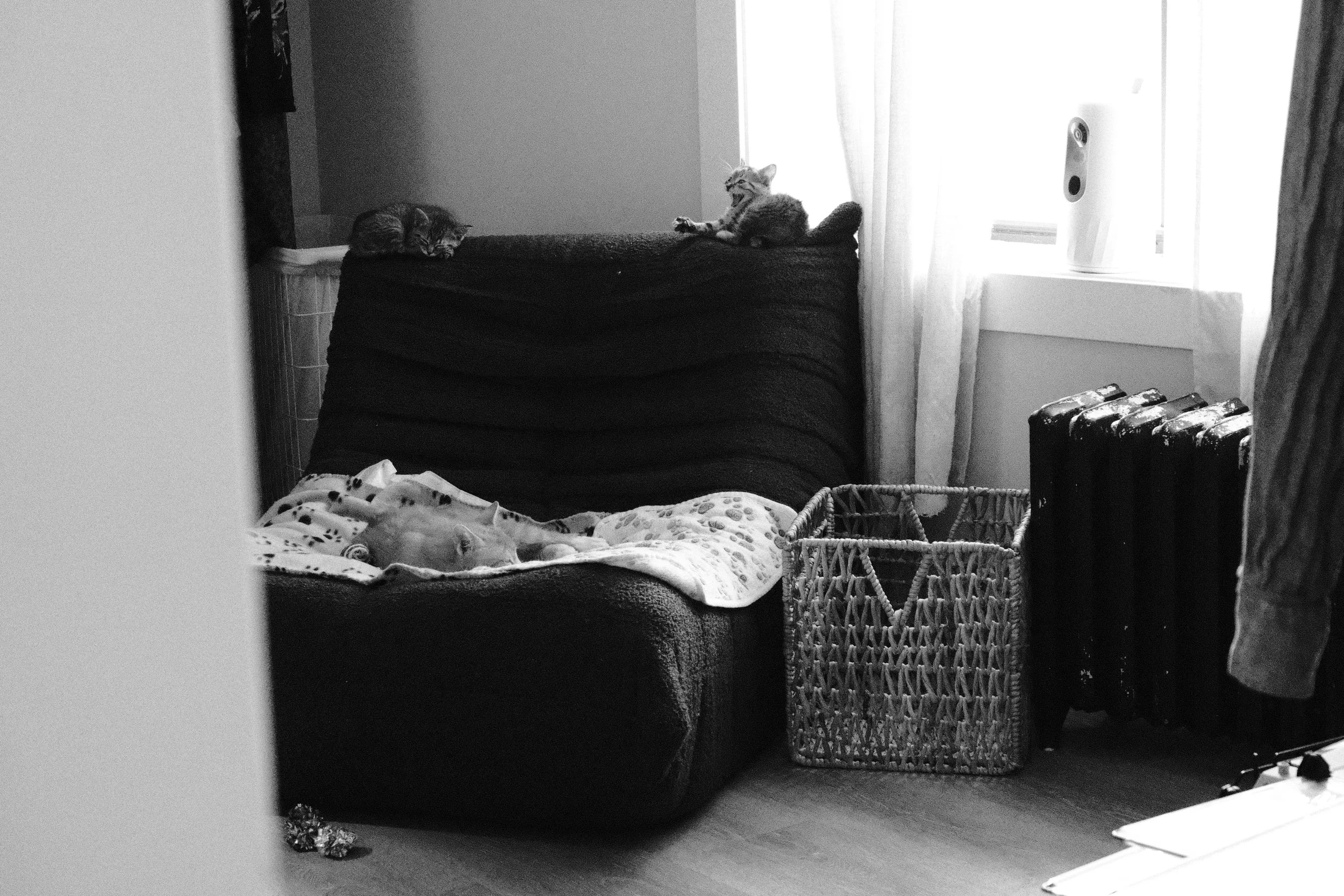 DSCF1469.JPG