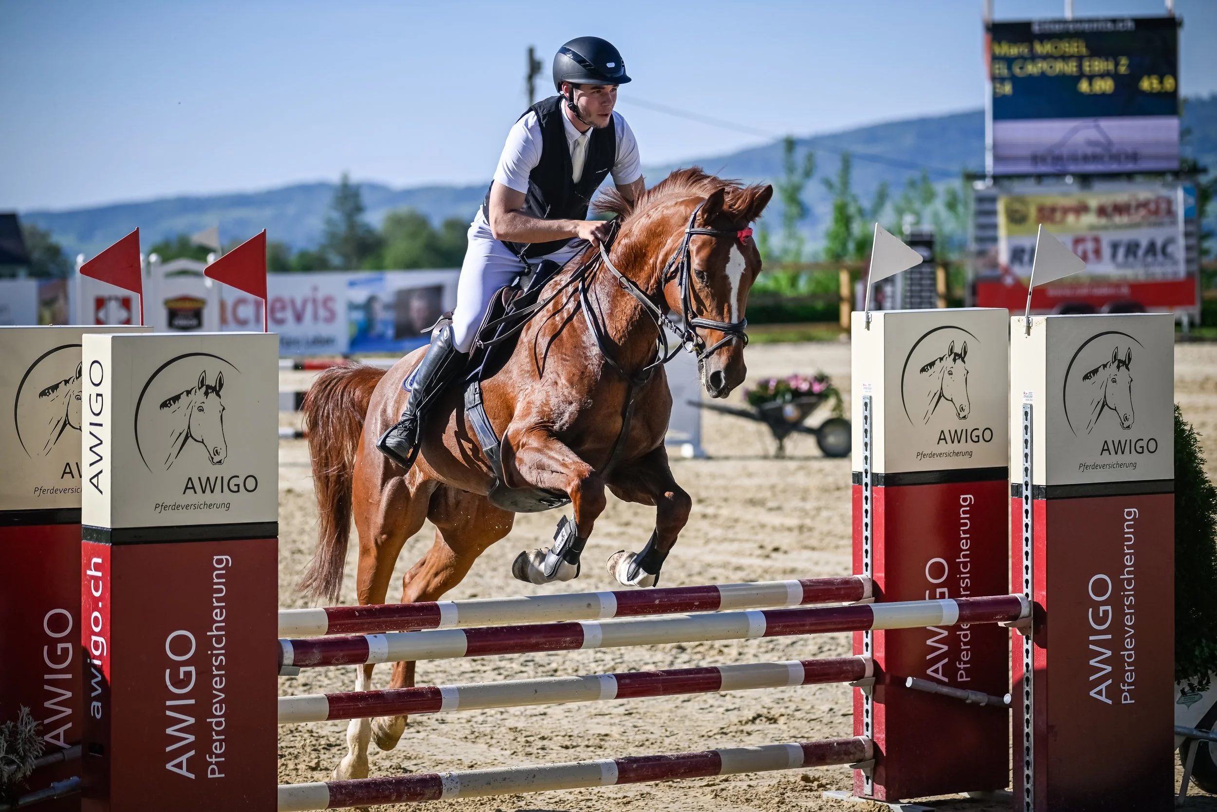 Pferdereiter in Reitkleidung springt mit seinem braunen Pferd über ein Hindernis bei einem Turnier, im Hintergrund sind Anzeigen und eine blaue Bergkette sichtbar.
