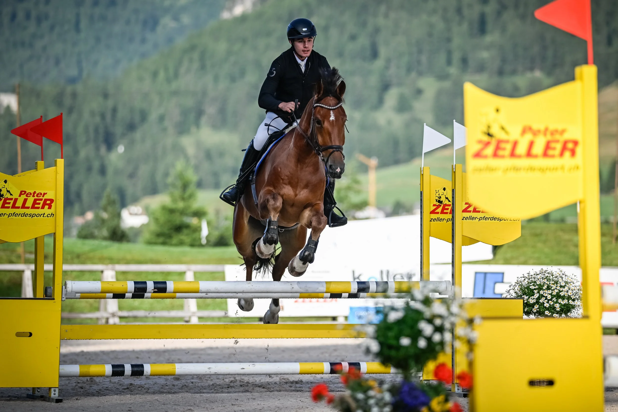 Pferdereiter springt über eine Geländestange bei einem Reitturnier, getragen von einem schwarzen Helm und Reitbekleidung, im Hintergrund grüne Berge und Bäume.