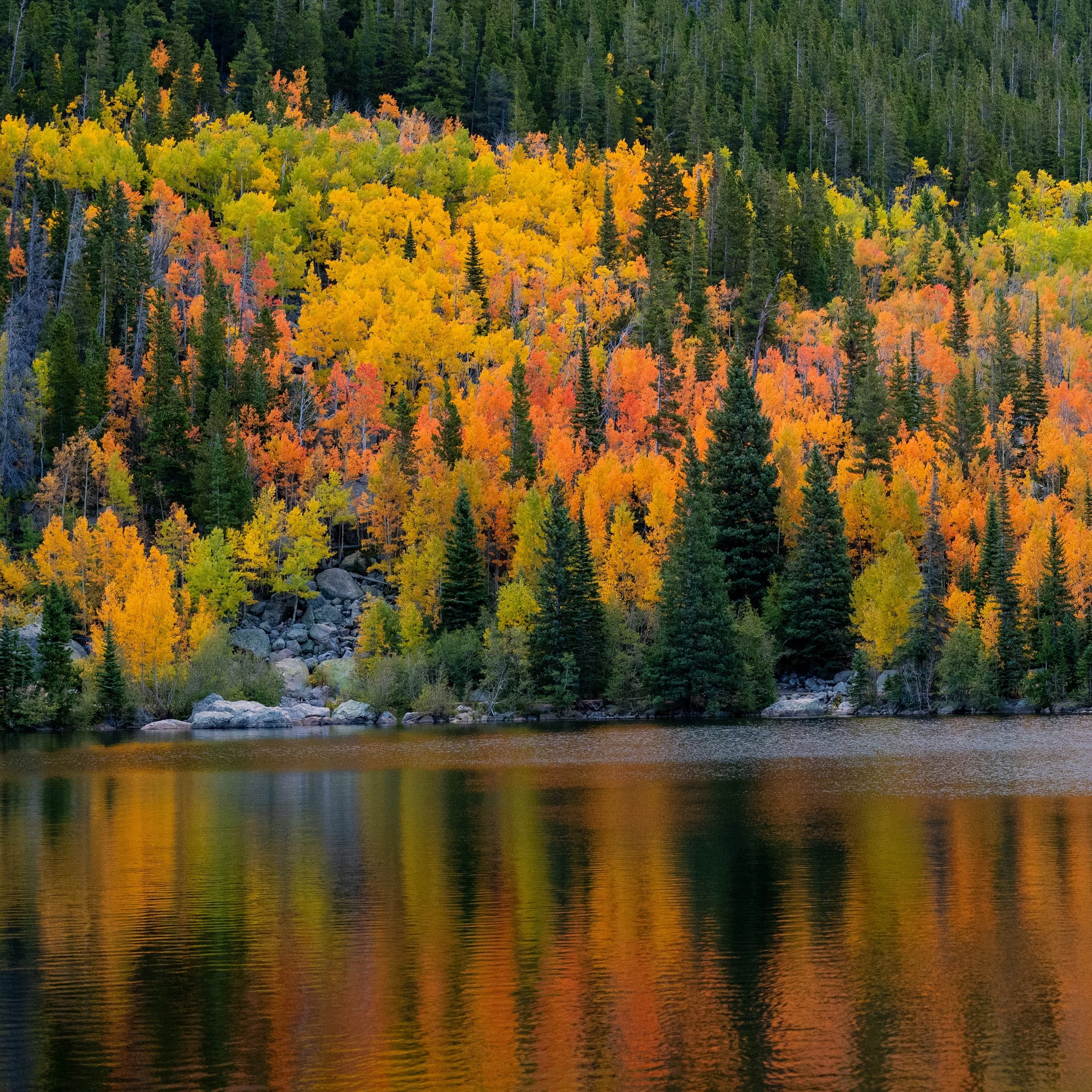 Rocky Mountain National Park-3.jpg
