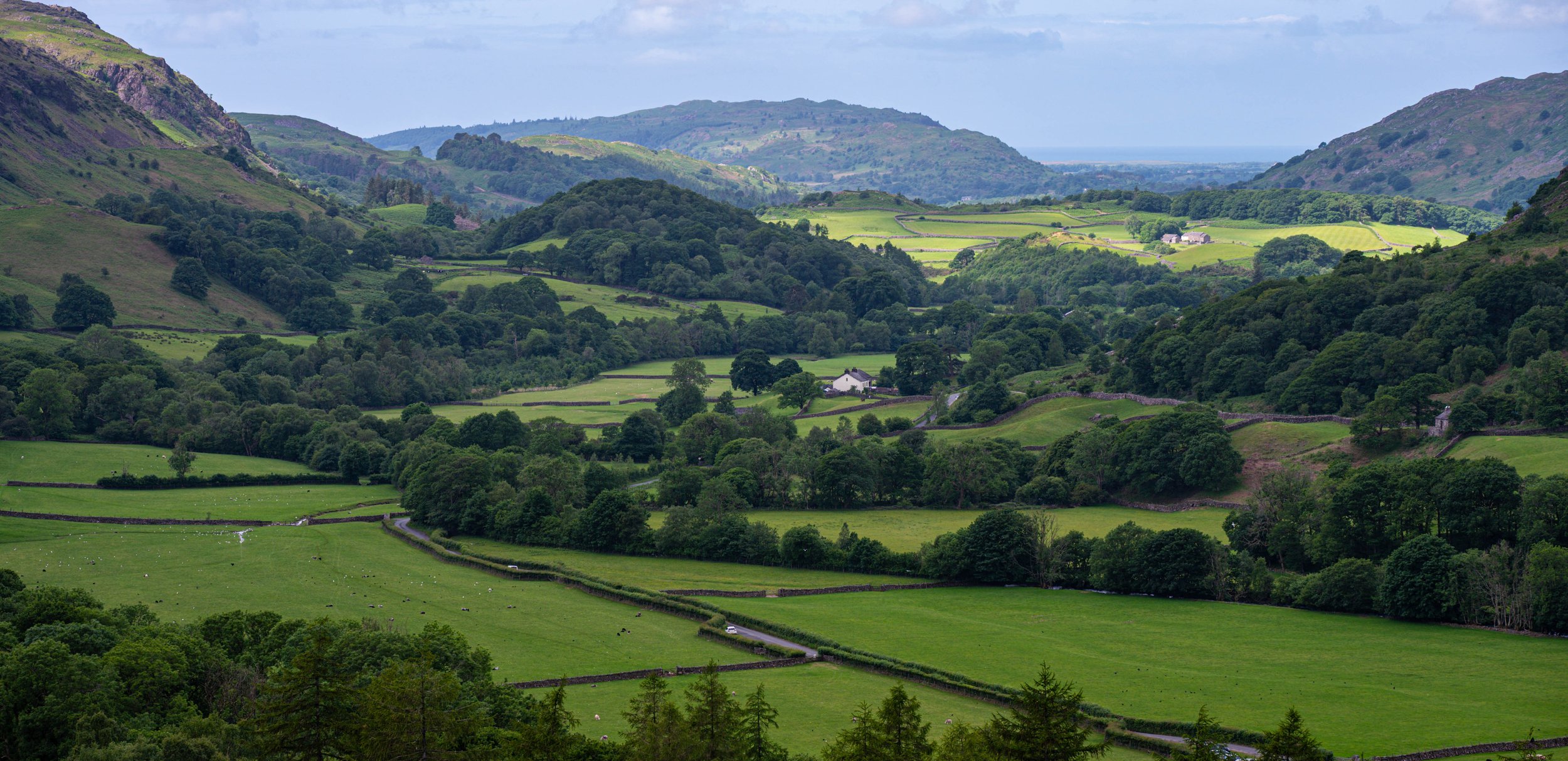 birds and lake district-10.jpg