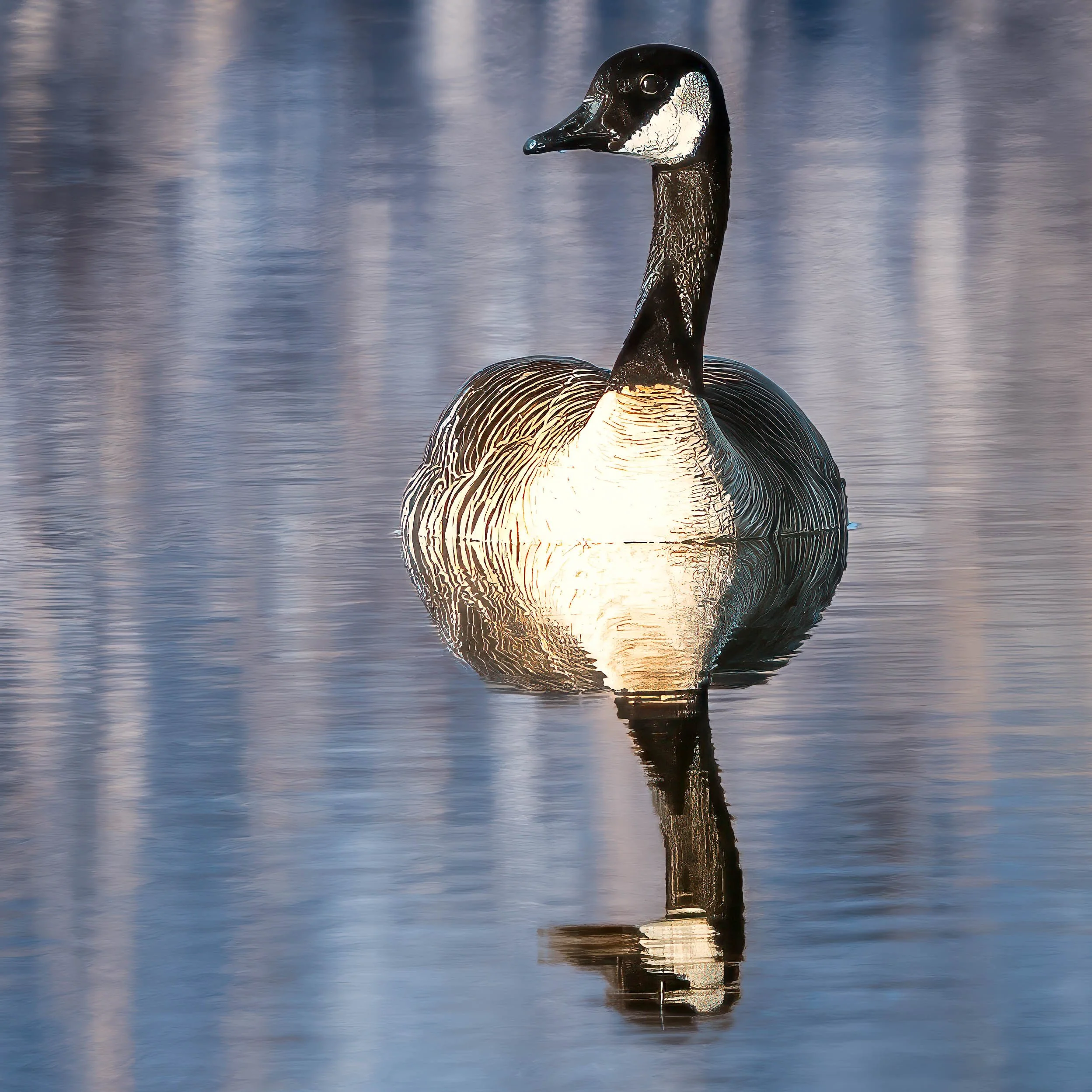 pella crossing-3.jpg