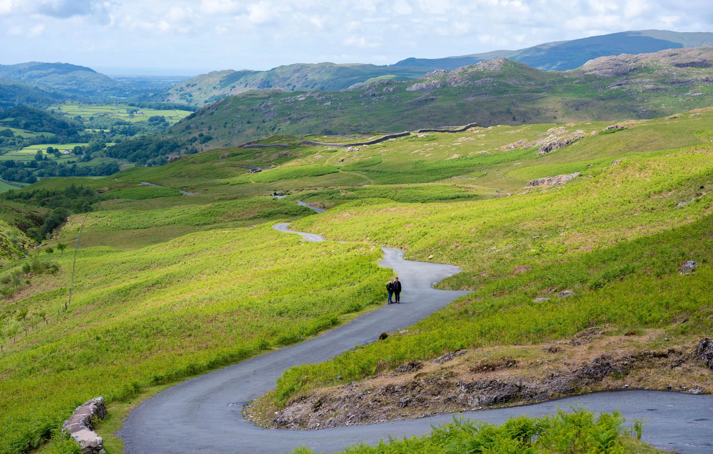 birds and lake district-12.jpg