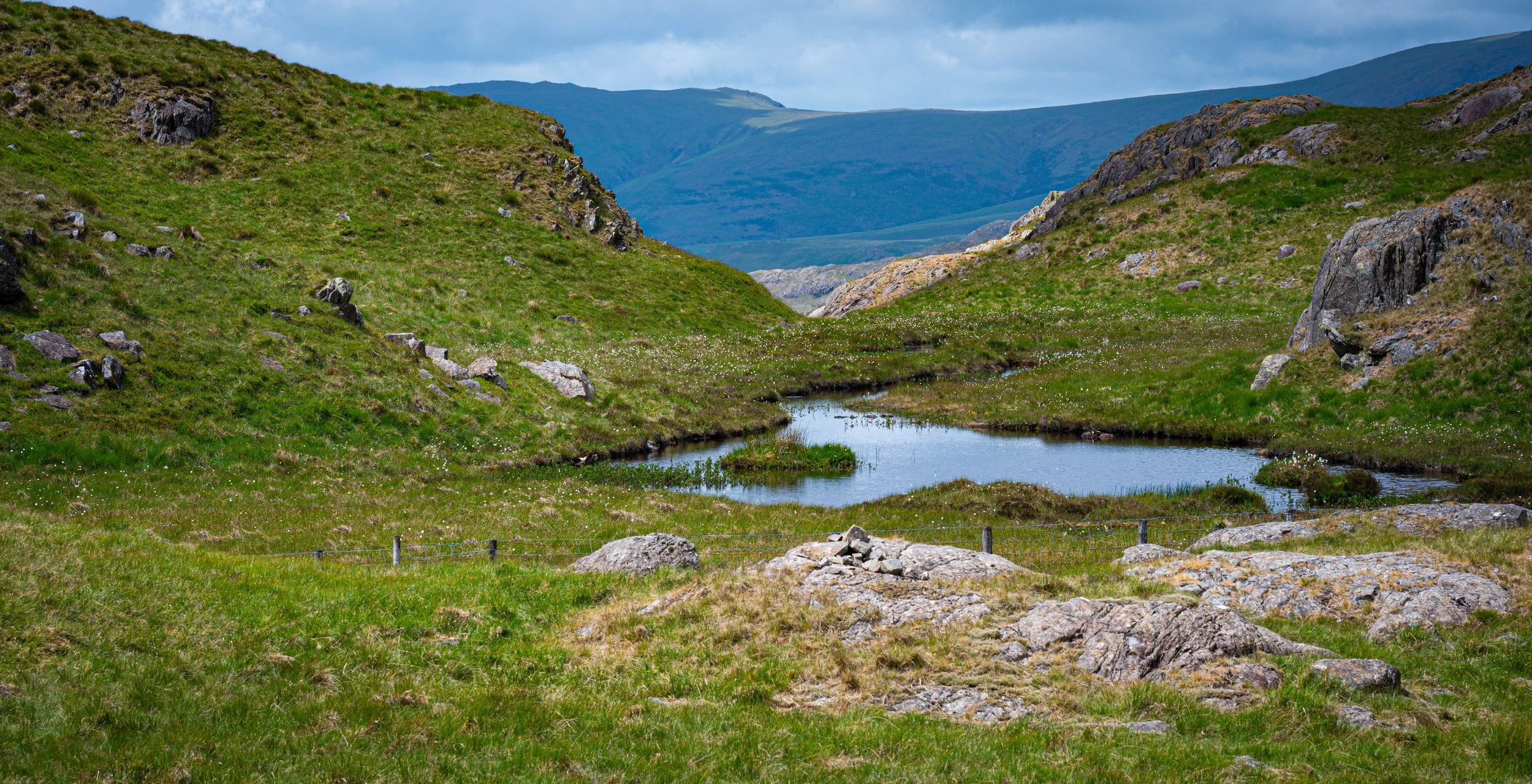 birds and lake district-11.jpg