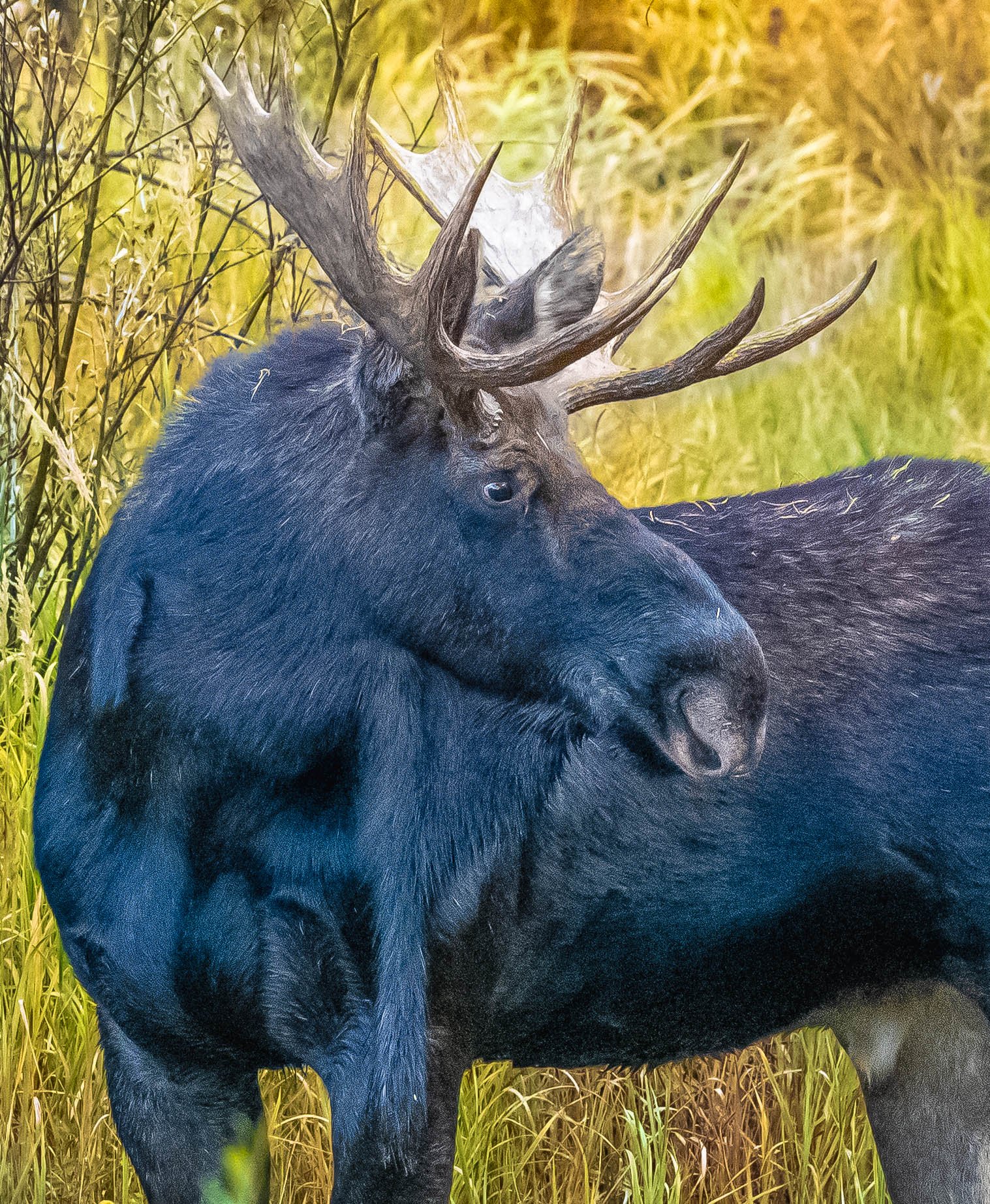 Rocky Mountain National Park.jpg