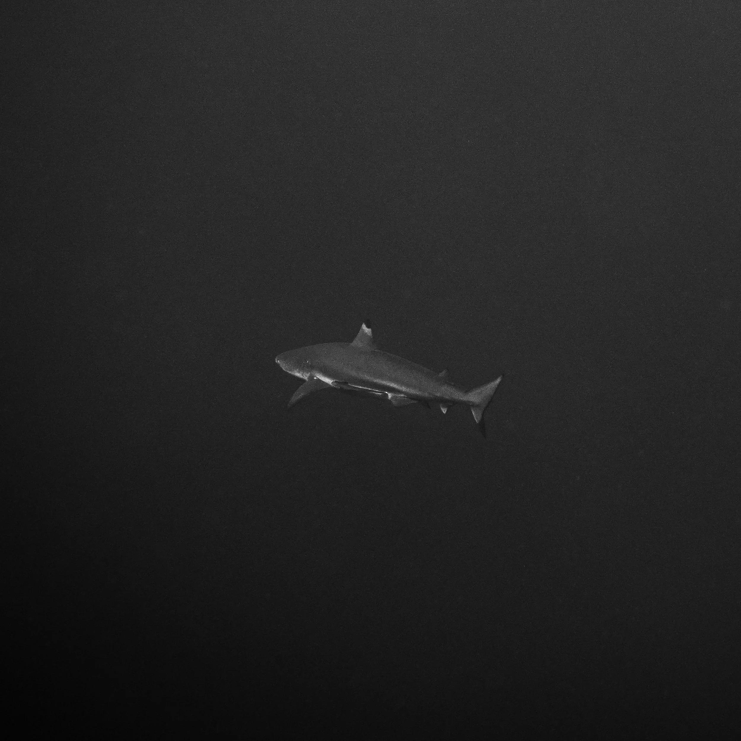 _PH_7146-Edit.jpg