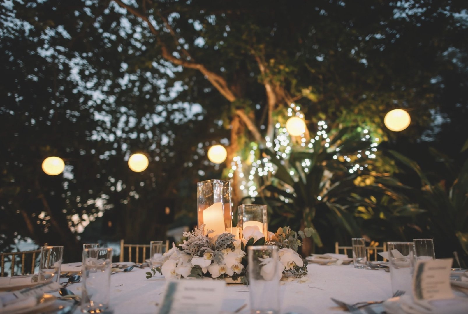 Table décorée avec des bougies, des fleurs blanches et des menus, en plein air la soirée avec des guirlandes lumineuses dans les arbres.