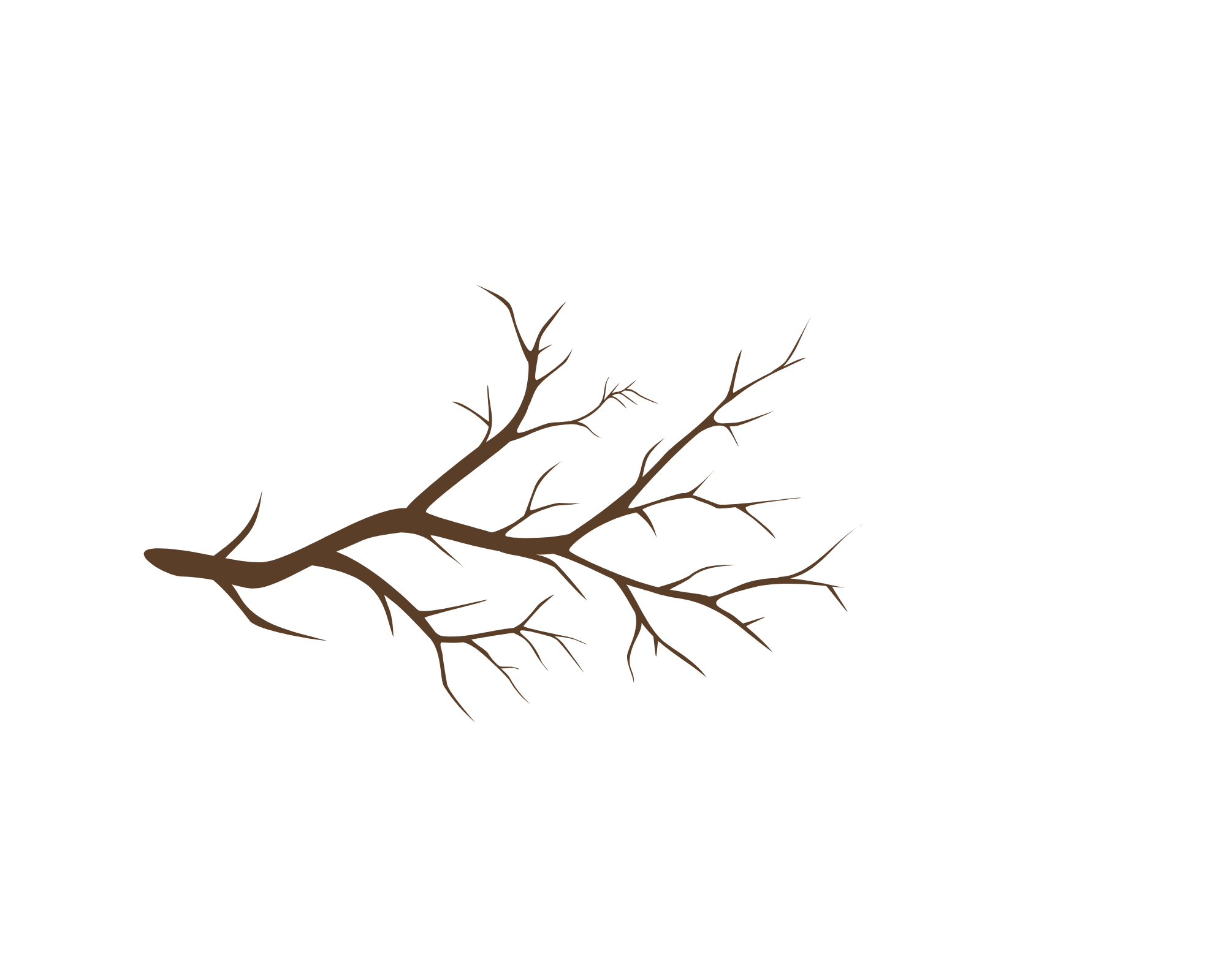 Branche en bois utilisée pour agrémenter la décoration de noËl d'une entreprise à Aix en Provence