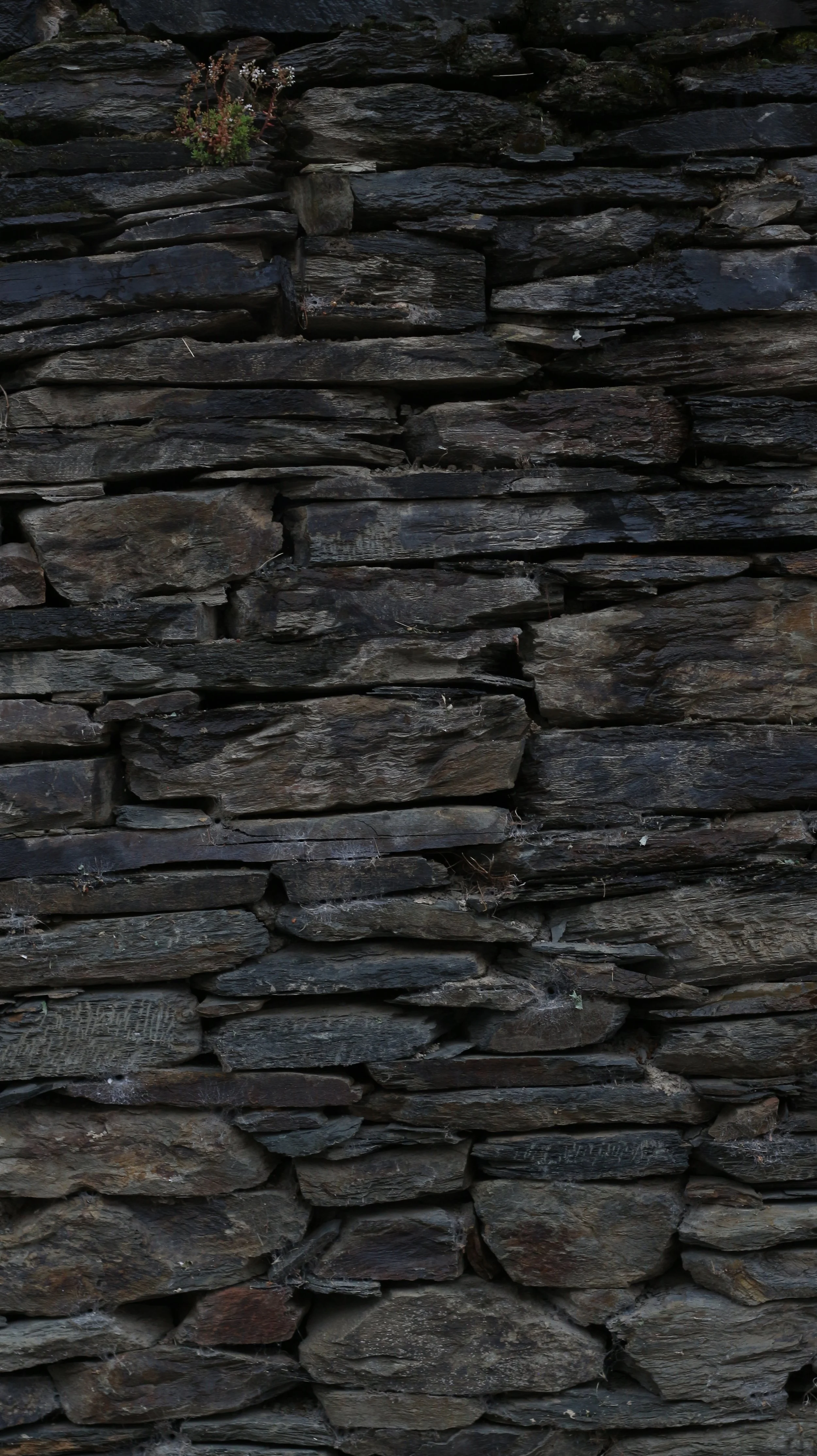 Pared de piedra oscura y apilada. Pesquera de duero