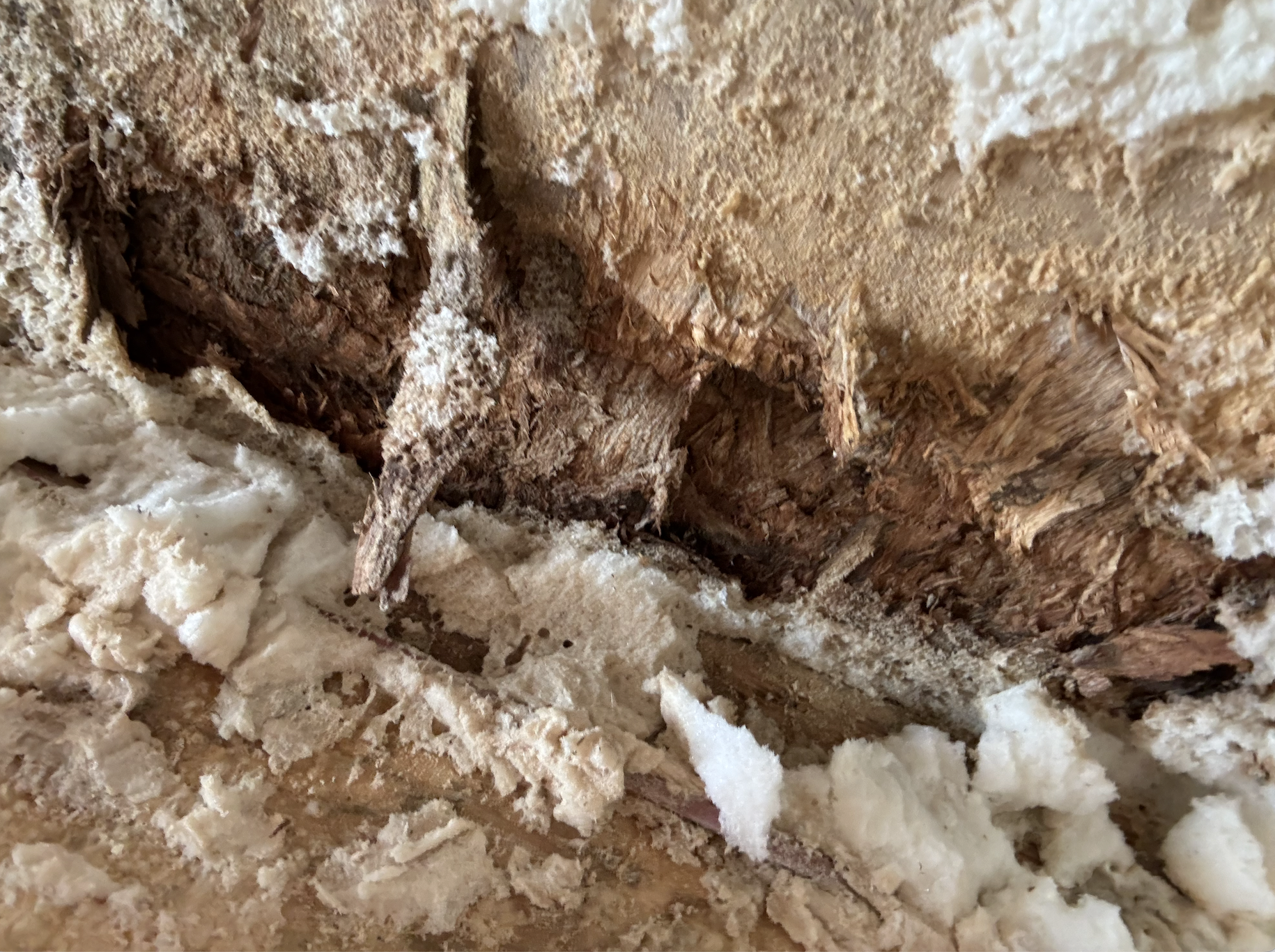 This is another example of the condition of the wood. This section is the roof under the foam insulation. Is this what should be expected in new construction?