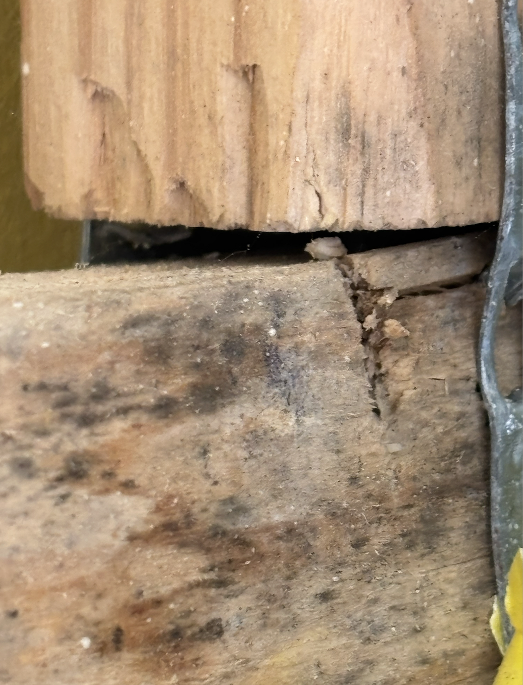 We've questioned the quality of materials, workmanship and supervision of the construction. As walls were being opened, we saw many joints that were not properly joined, wood that was cracked, even in some cases pre-existing mold.