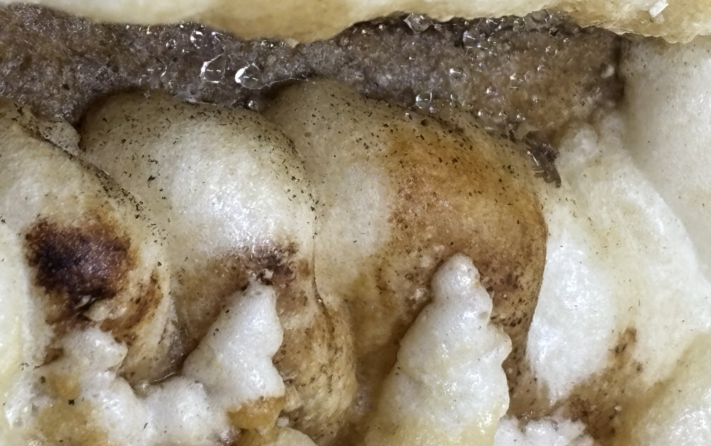 Closeup of mold and residue of leaks on foam insulation. This was in the main bedroom where a man with cancer and a compromised immune system spent most of his day.