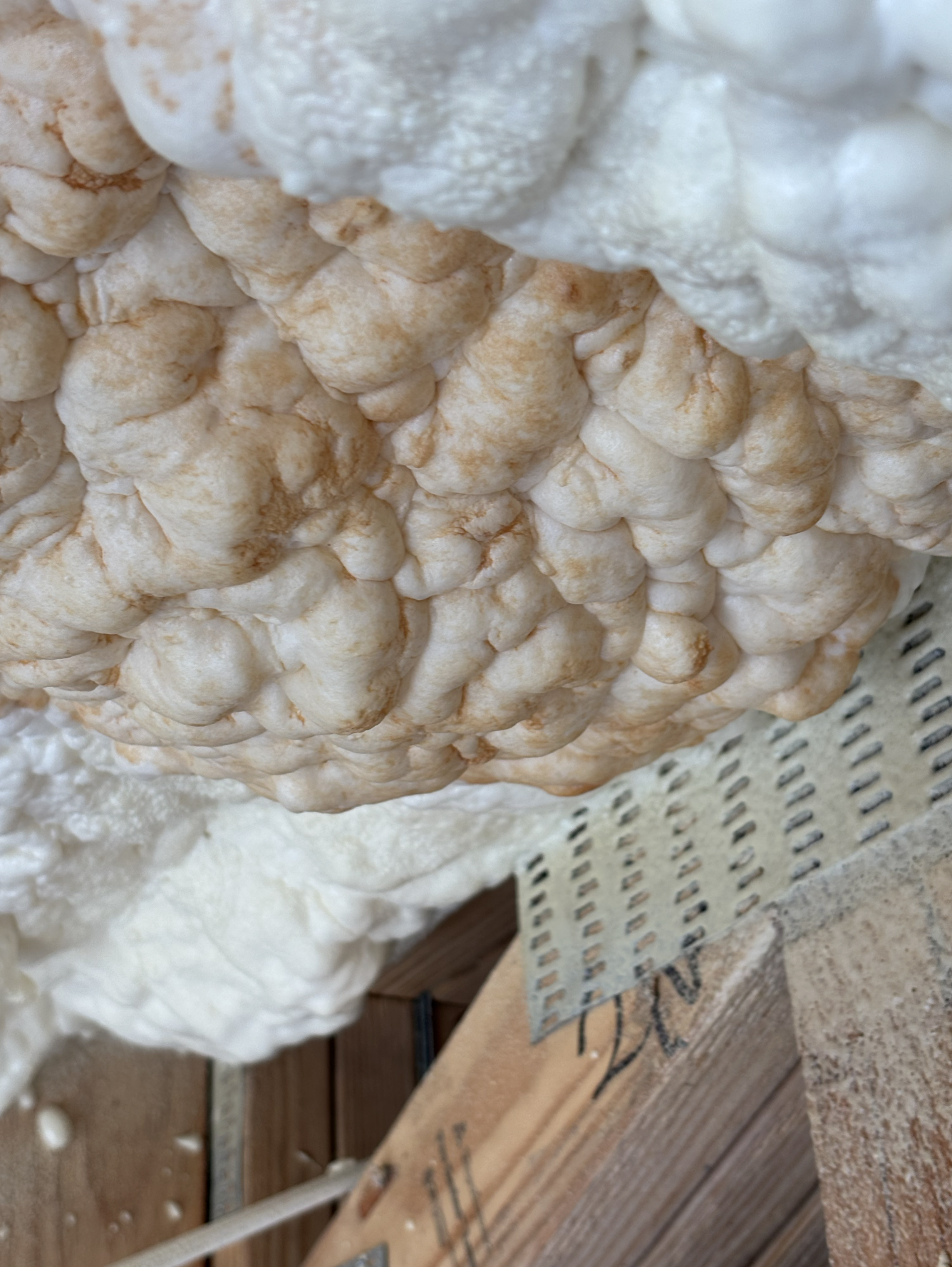 Water leaked from holes in the roof into the foam insulation where it collected and then dripped onto the ceiling drywall growing mold.