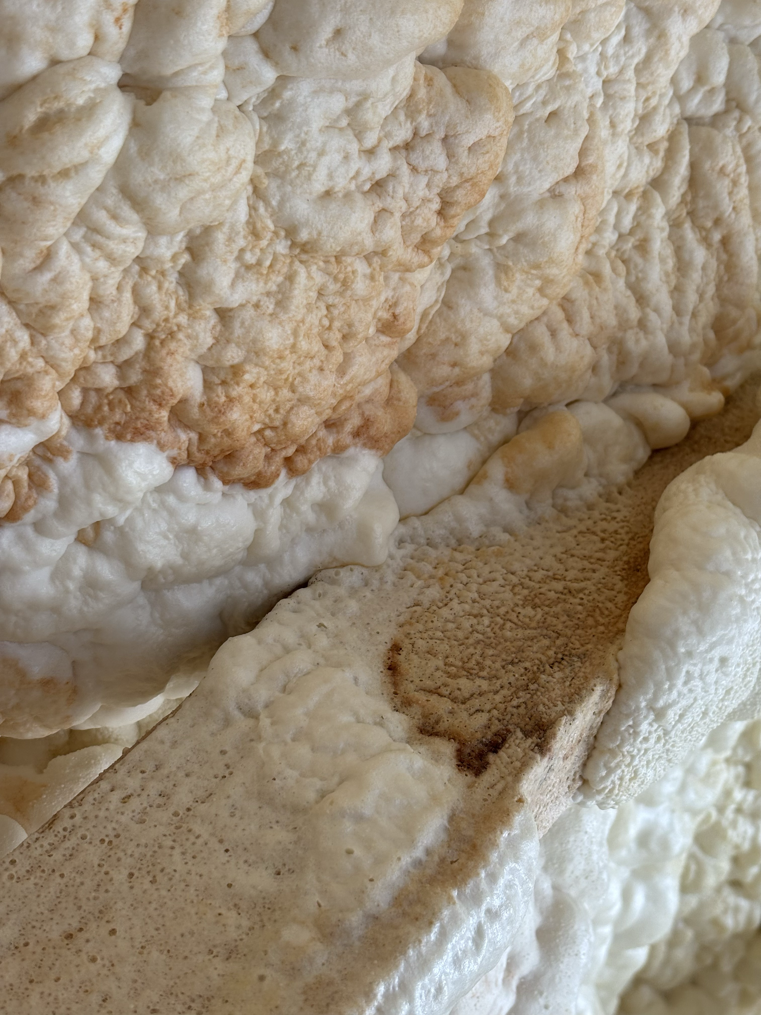 Another image of the foam insulation showing the discoloring from mold and leaks. We have no idea how long the roof was leaking and how long the mold was growing in the main bedroom ceiling space.