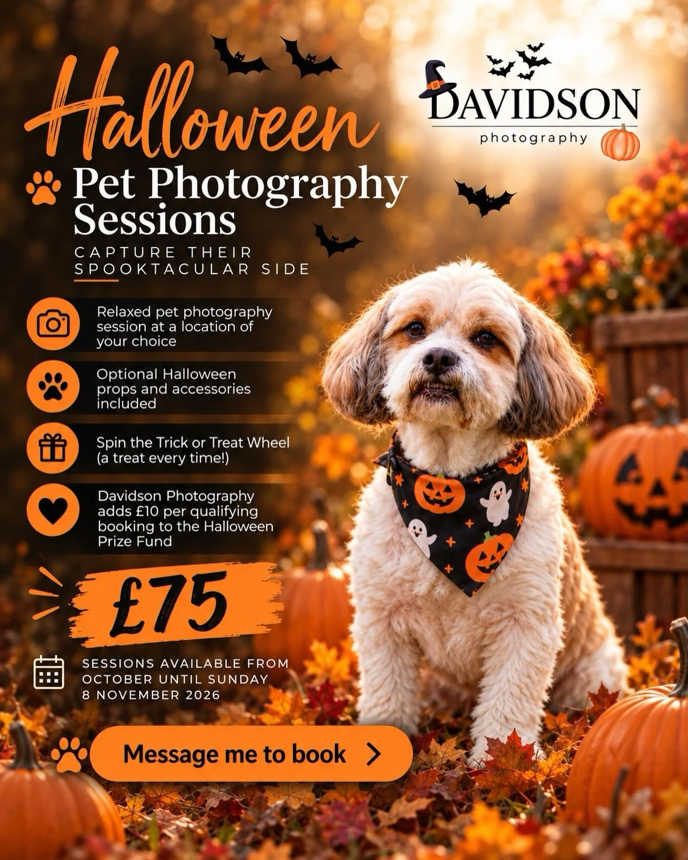 🎃 HALLOWEEN PET PHOTOGRAPHY SESSIONS ARE HERE! 🐾

Halloween has arrived at Davidson Photography, with a seasonal twist on my usual relaxed pet photography sessions.

🎃 Halloween Pet Photography Sessions | &pound;75

The &pound;75 price stays exact