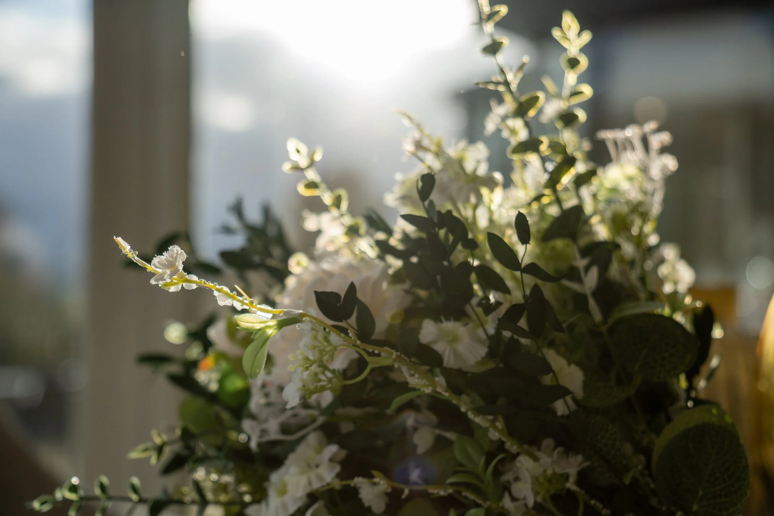 Sunlight illuminating a bouquet of white flowers and green leaves near a window.