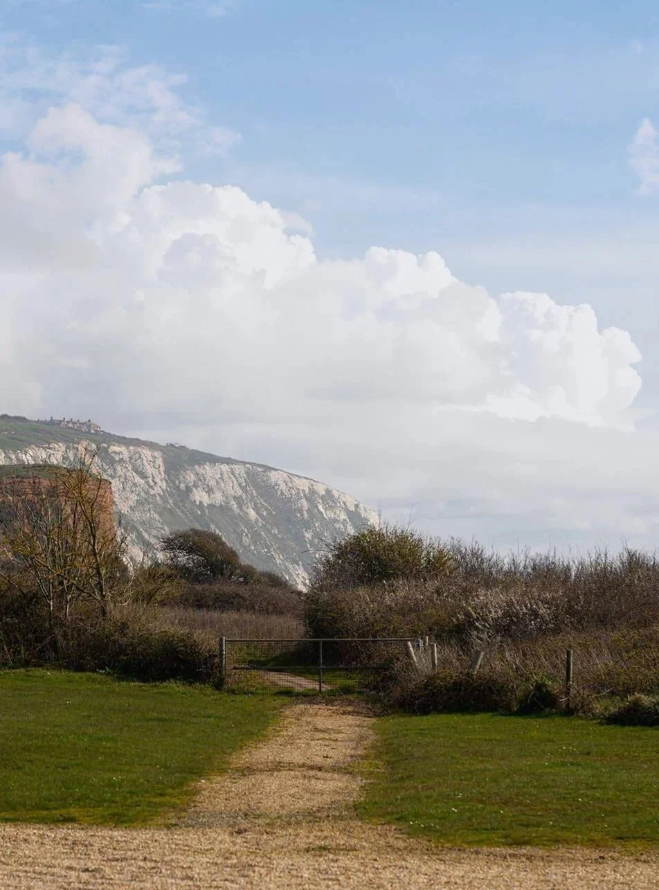A dirt pathway leading through grassy fields, with shrubs and trees on either side, and a mountain with white cliffs in the background under a partly cloudy sky.