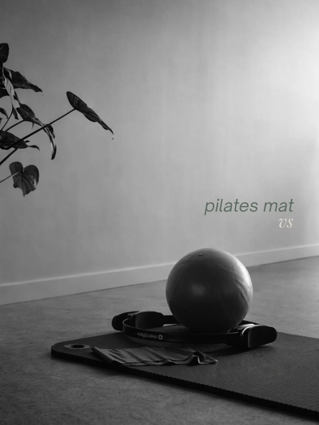 SAVE THE DATE : Friday 22nd May 
The frist Arya Workshop is coming : 
&laquo;&nbsp;pilates mat VS pilates reformer&nbsp;&raquo;