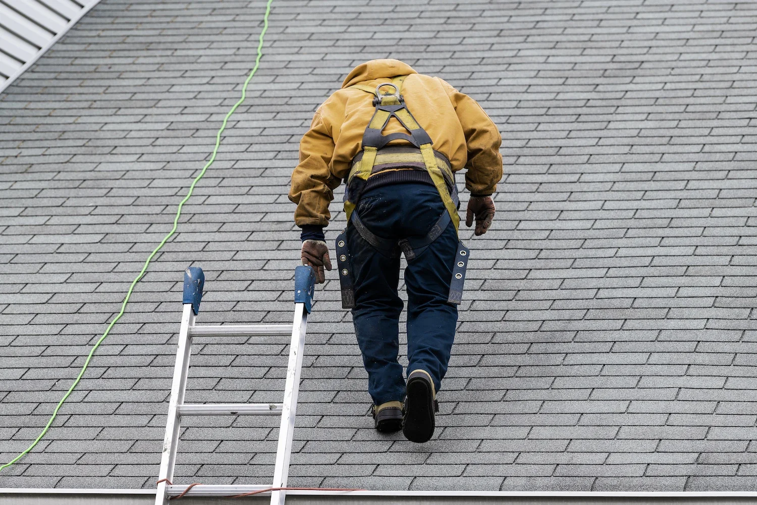 Should I get my roof inspected?