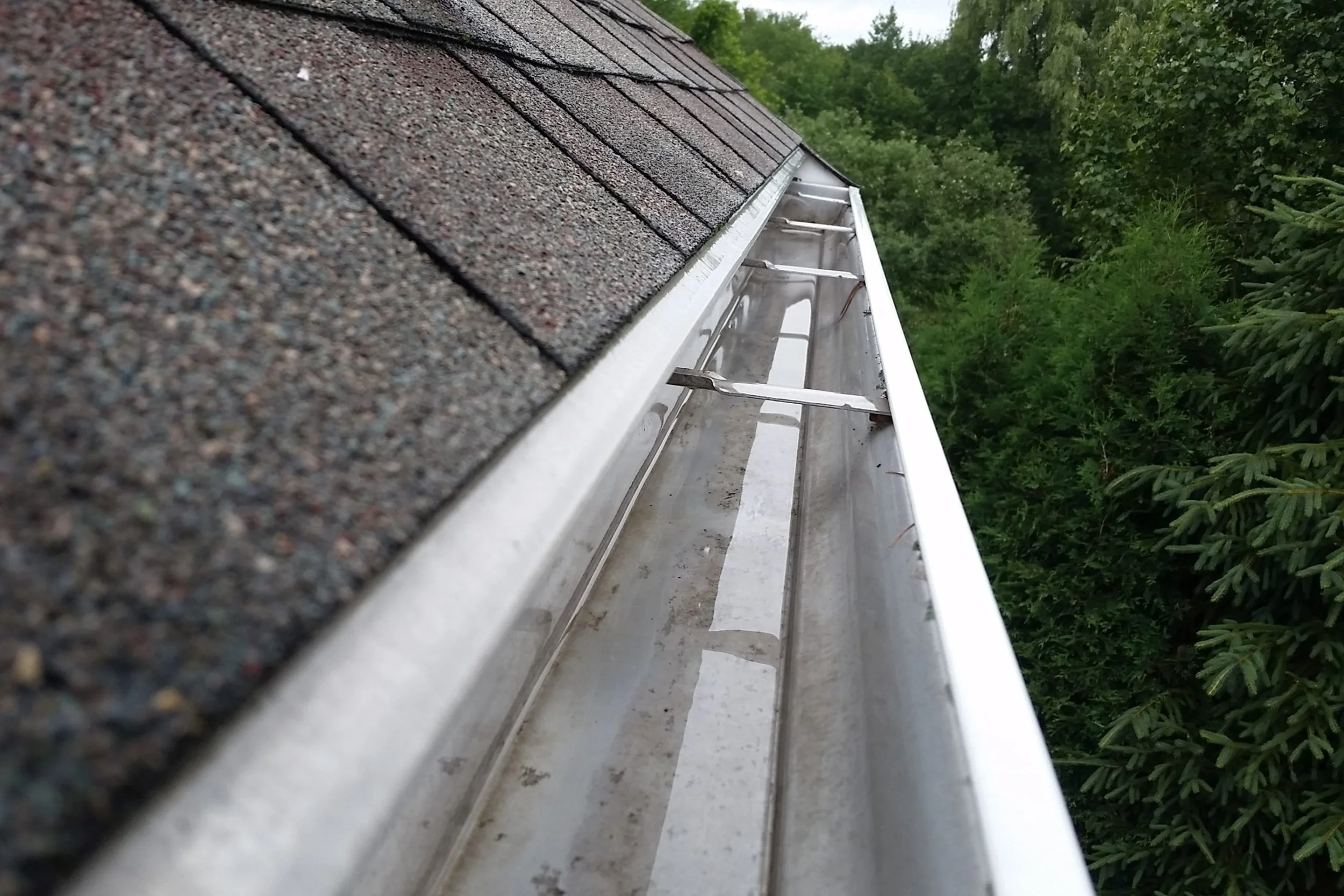 Gutter Cleaning